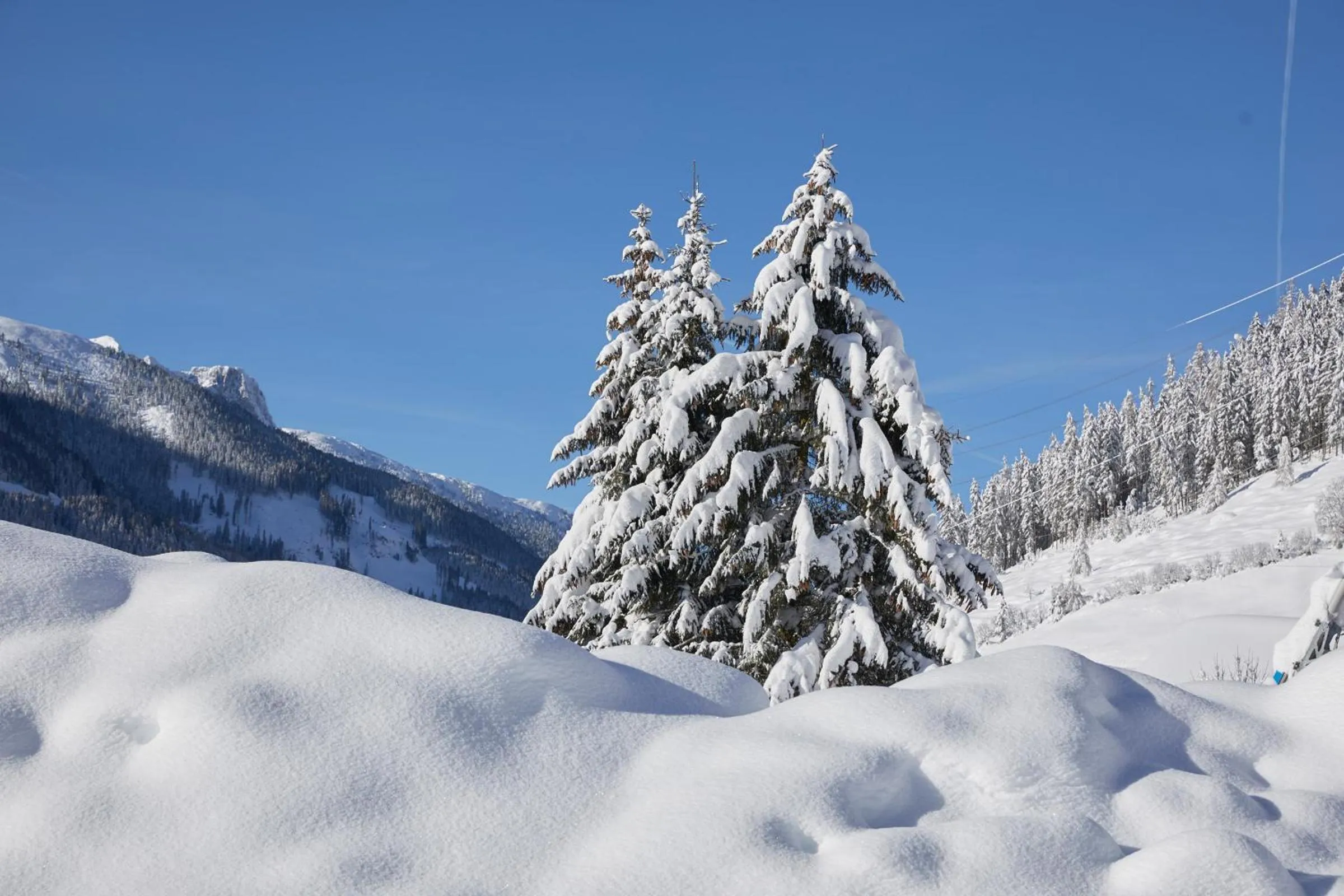 Garden view in Almhof Family und Wellness Resort