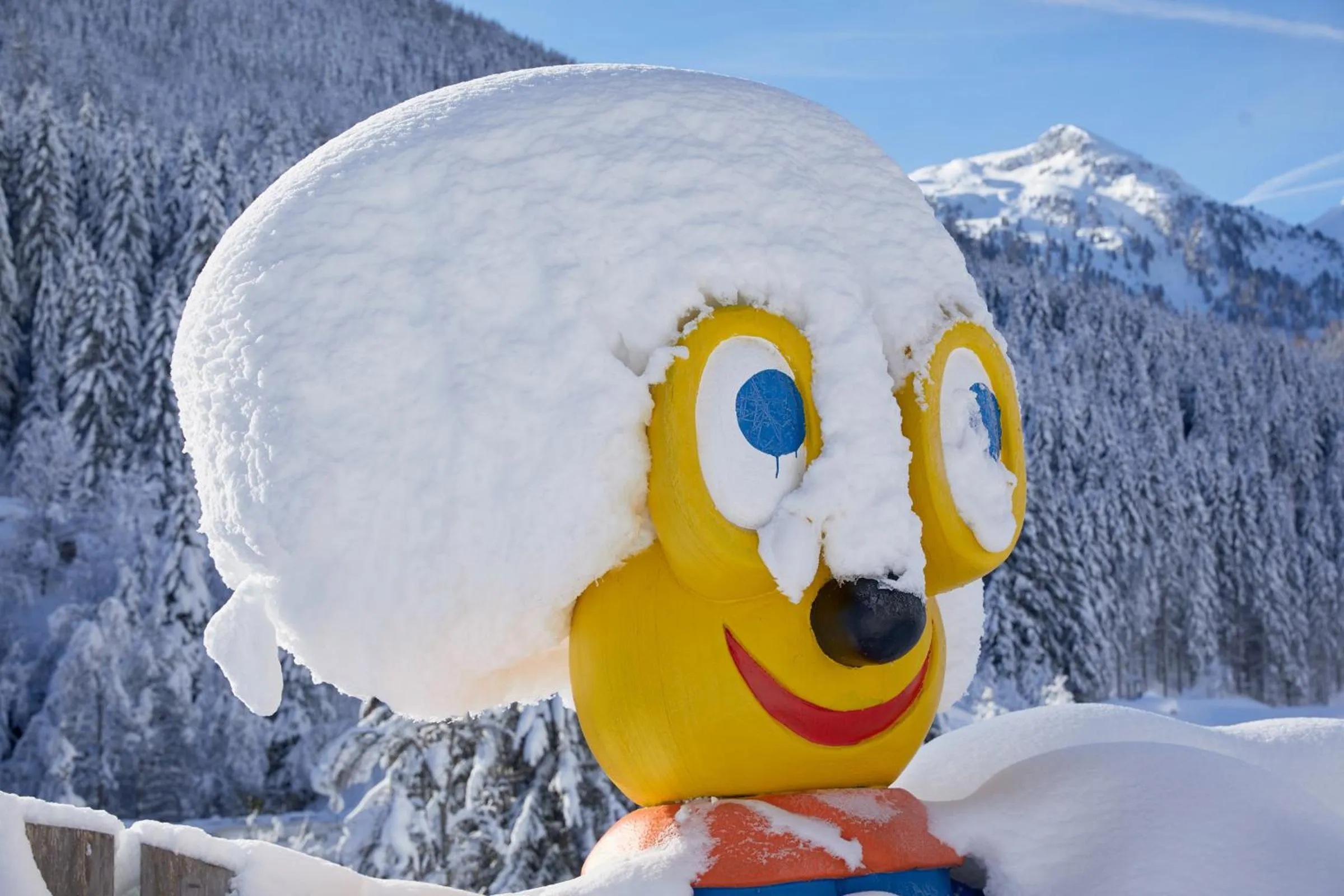 Winter in Almhof Family und Wellness Resort