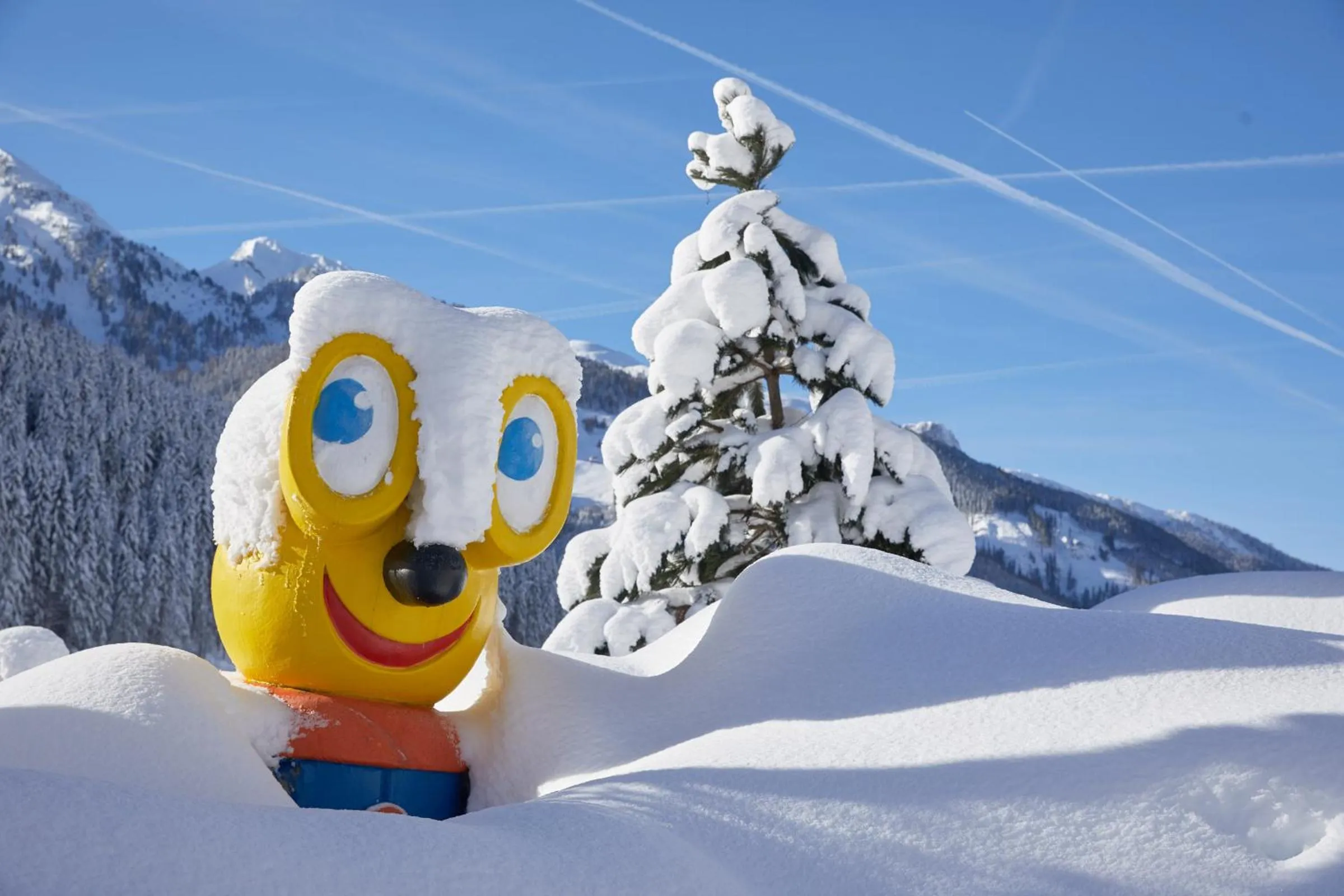 Natural landscape in Almhof Family und Wellness Resort