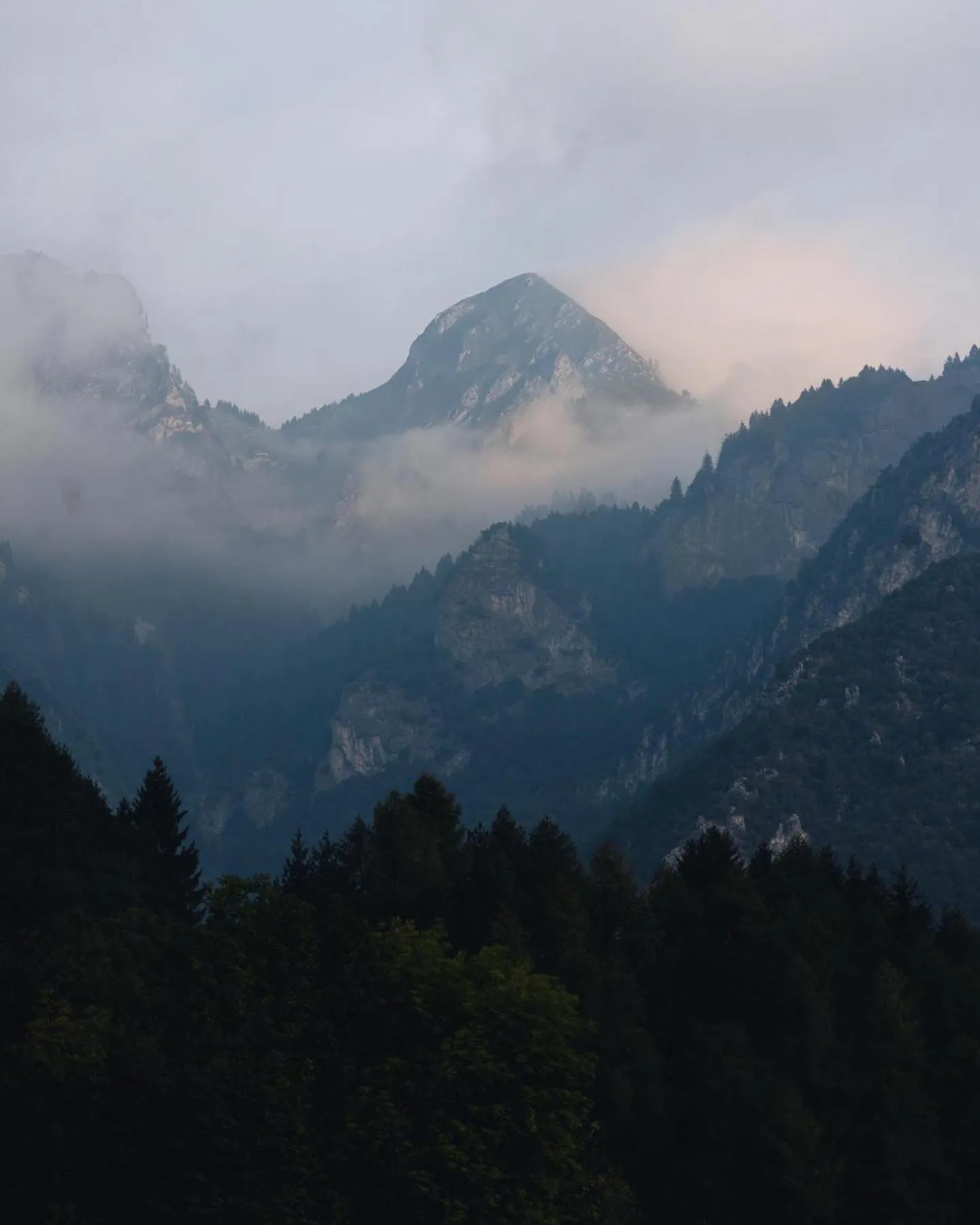 Natural landscape in LMC Guesthouse