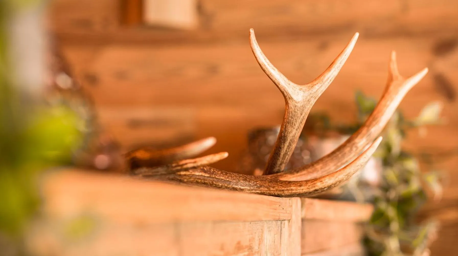 Decorative detail in LMC Guesthouse