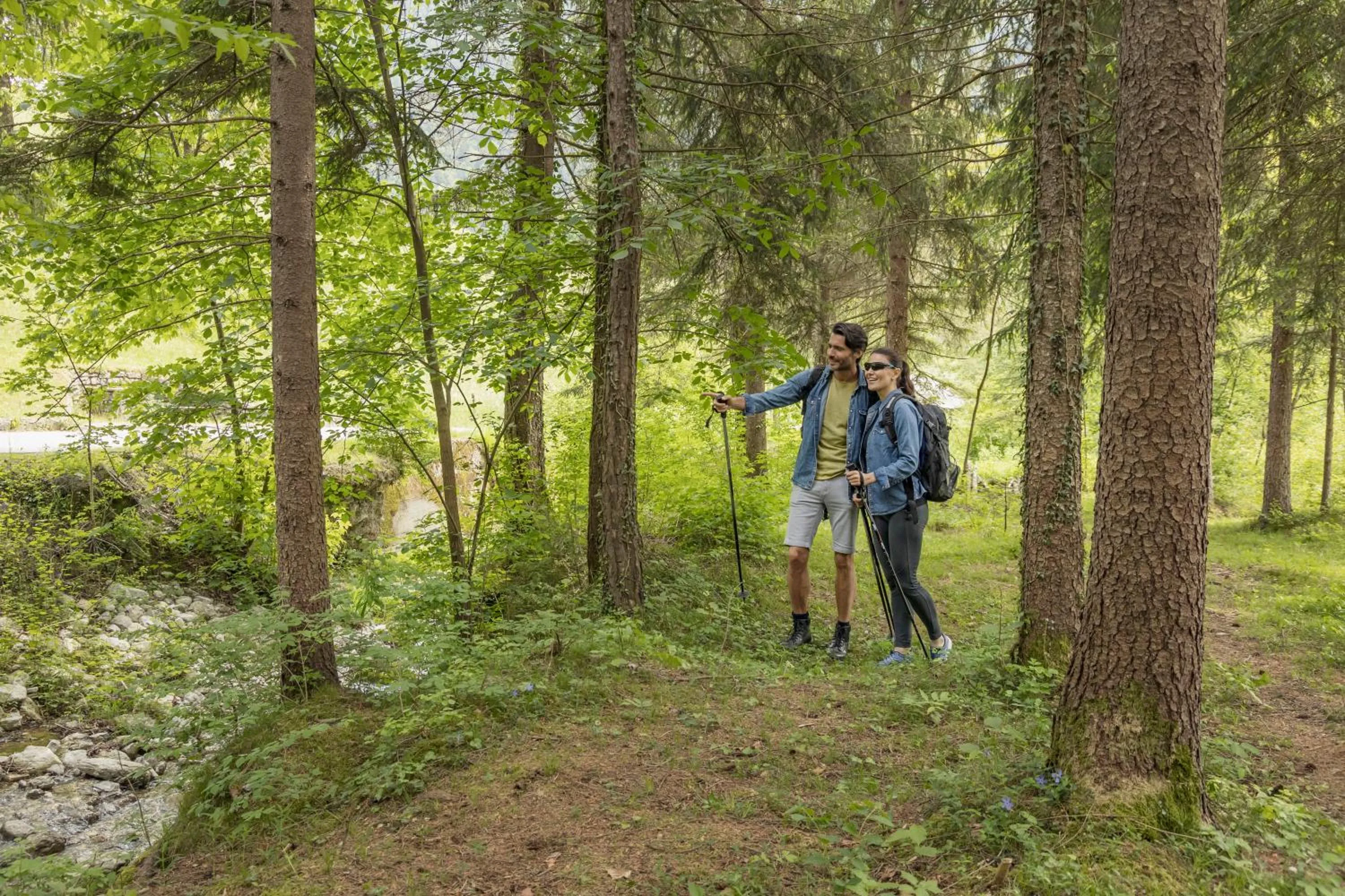 Natural landscape in LMC Guesthouse