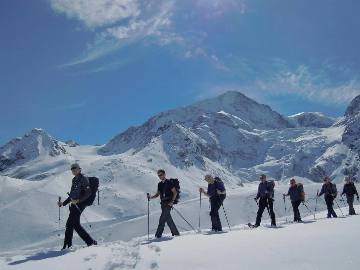 Skiing in Hôtel Dents de Veisivi