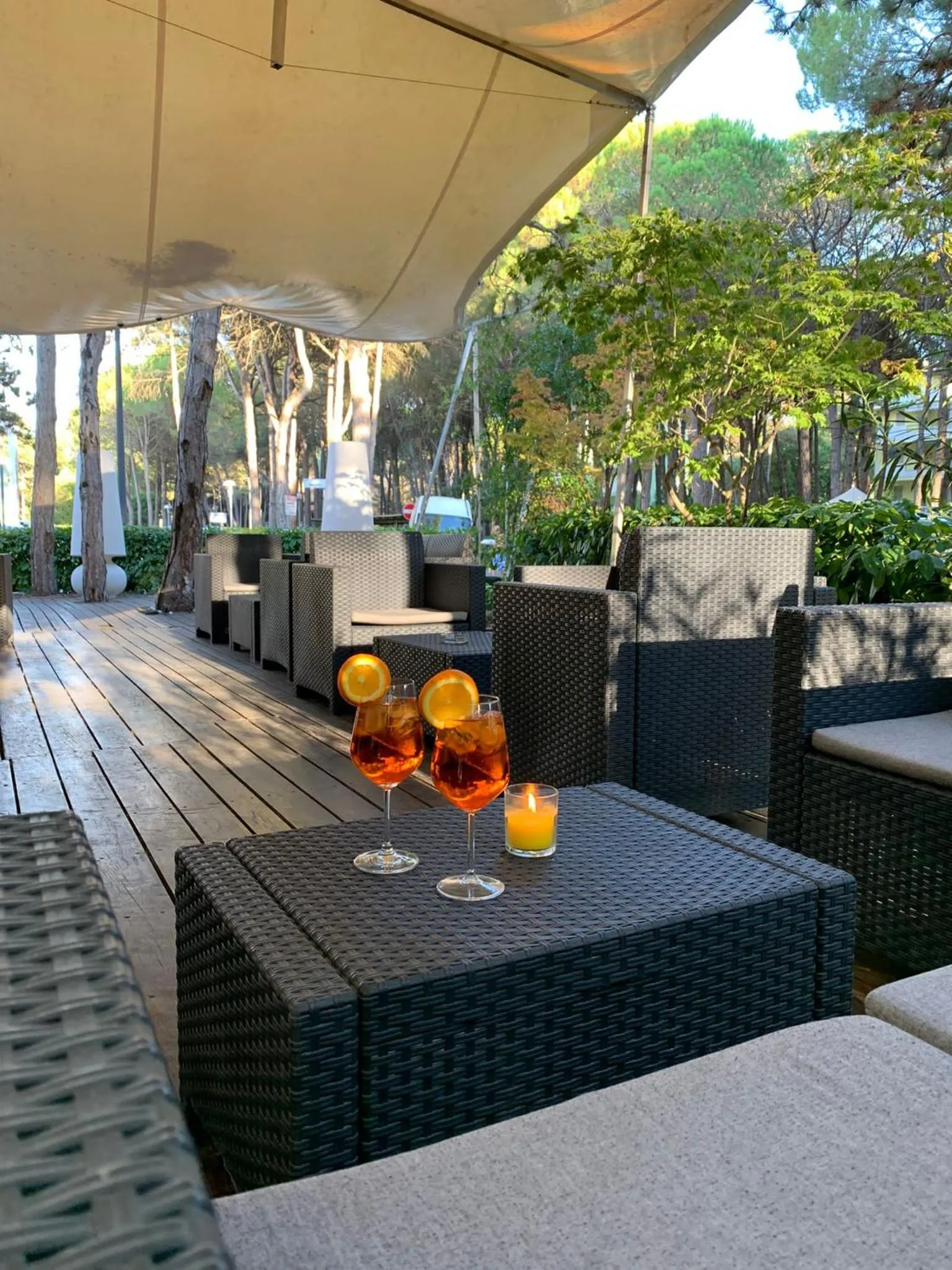 Restaurant/places to eat in Hotel Airone