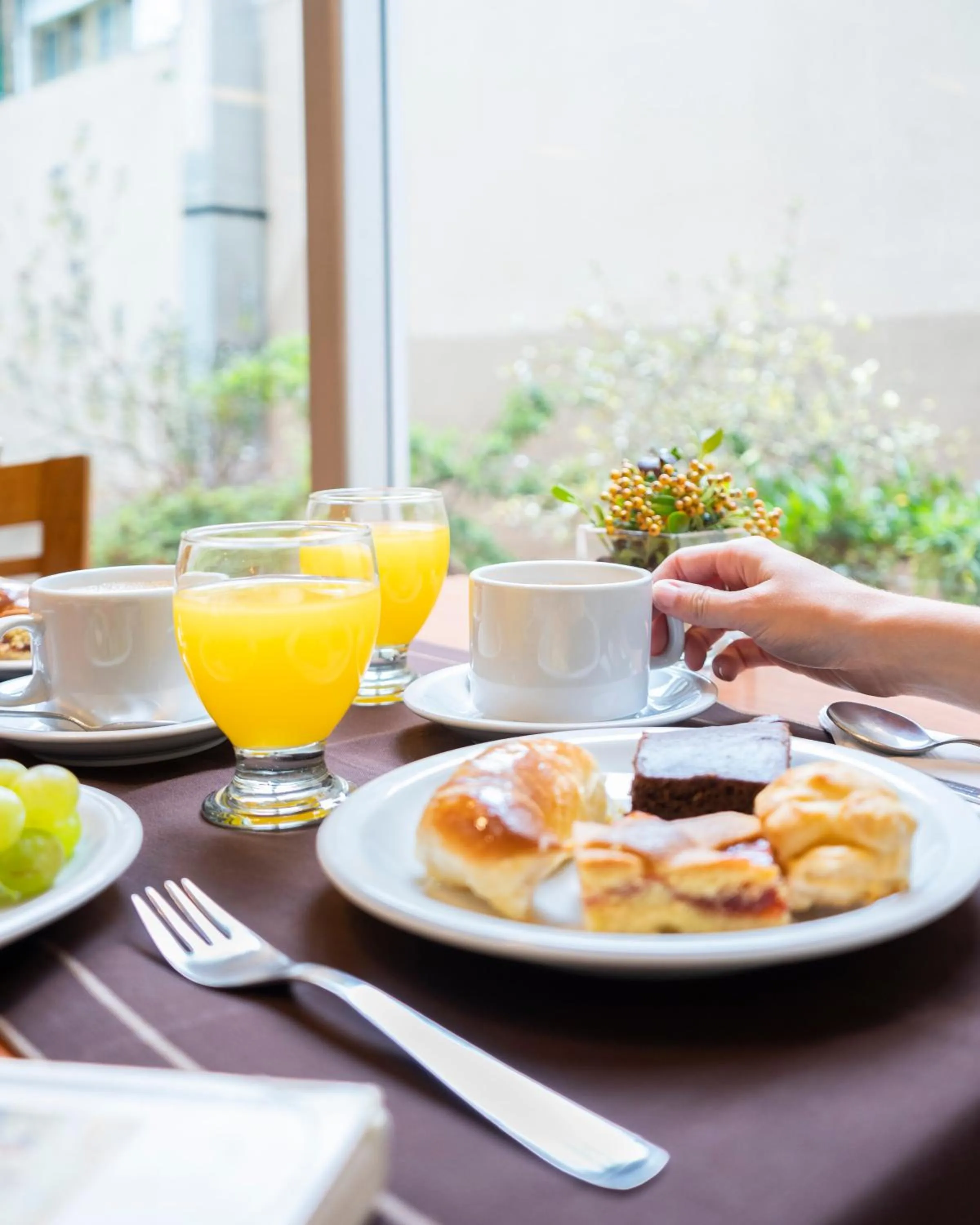 Breakfast in Lagos Andinos