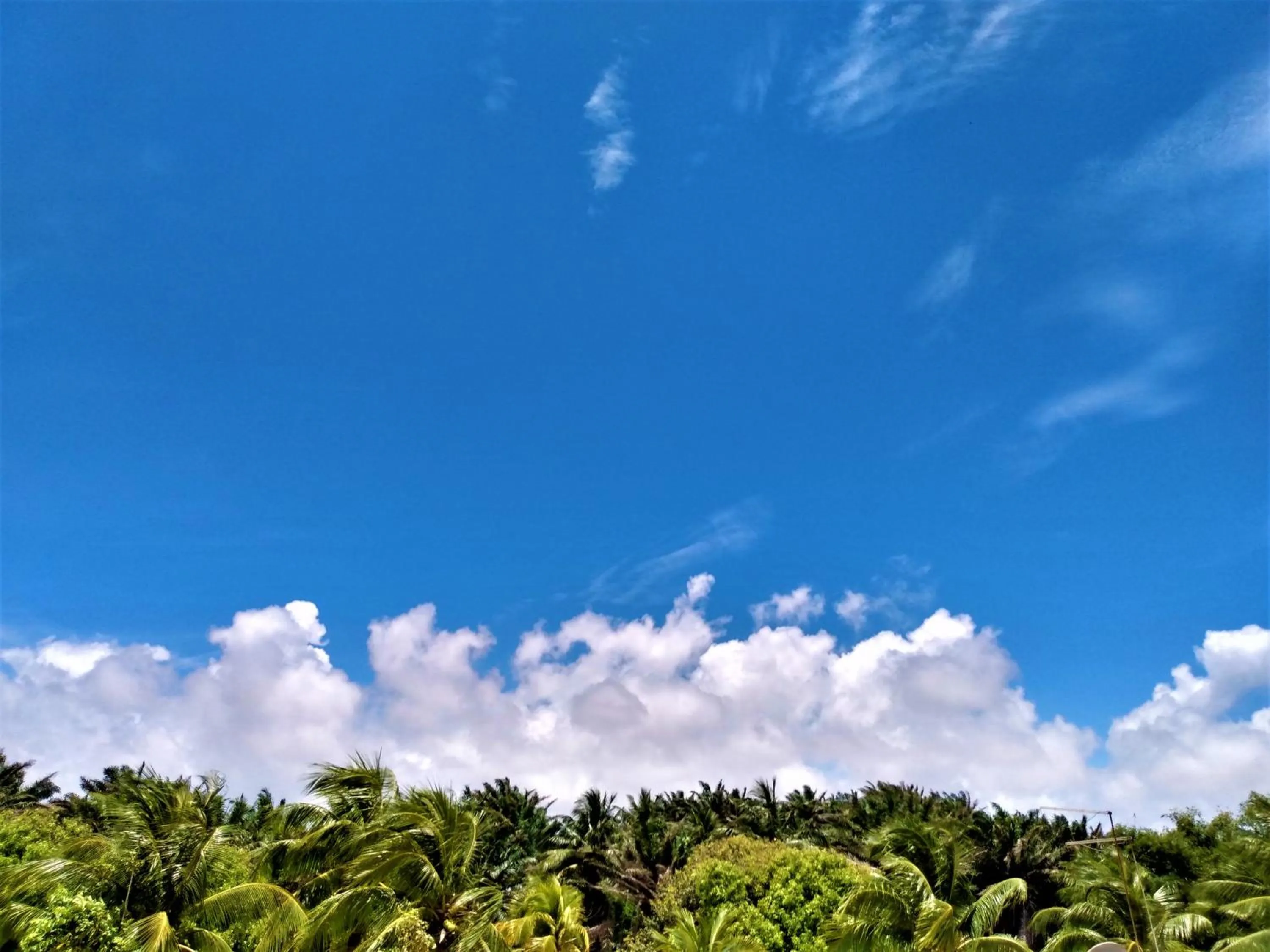 Natural landscape in Pousada Praia do Flamengo