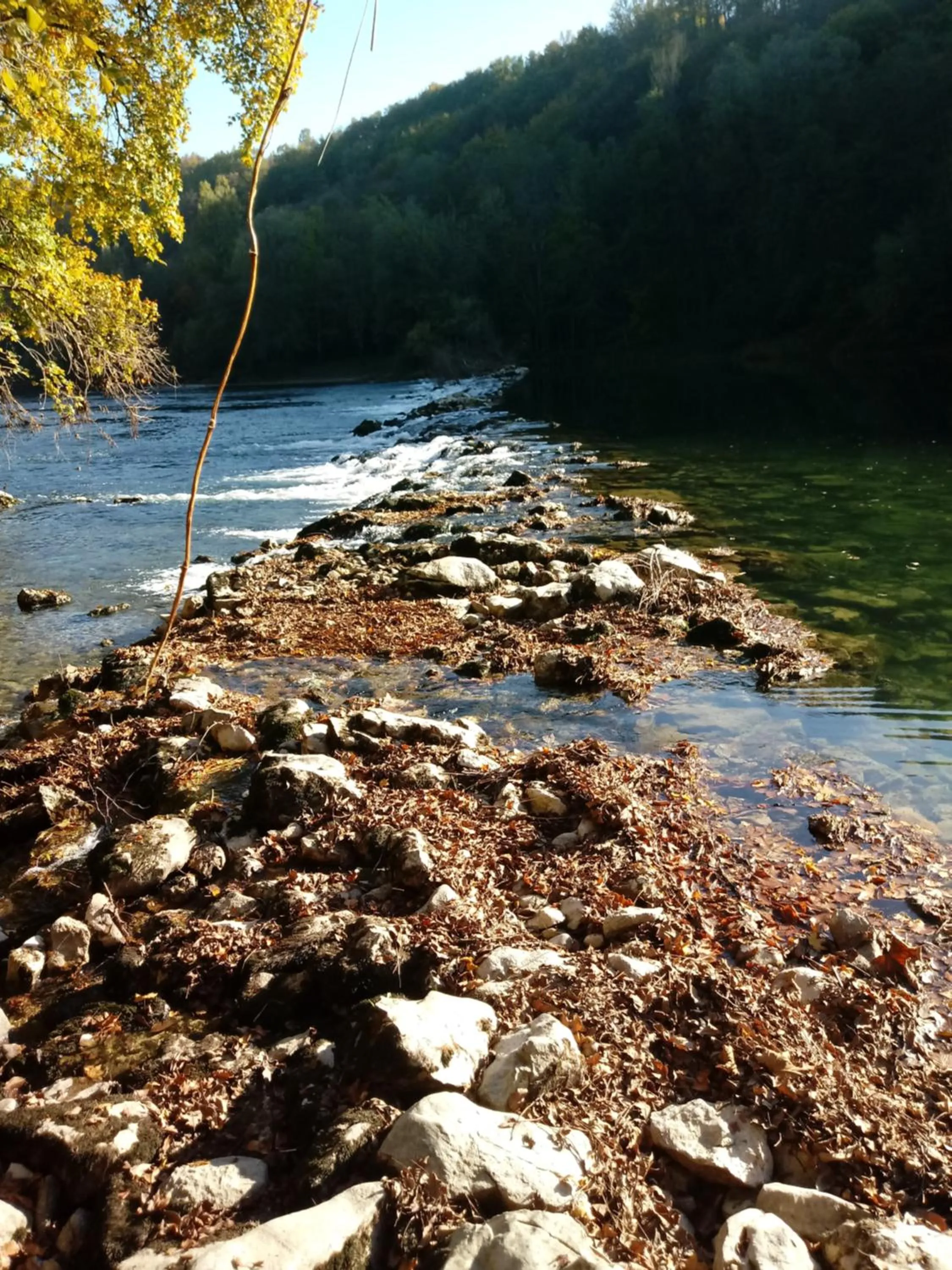 Fishing in Bed&Breakfast Zilje