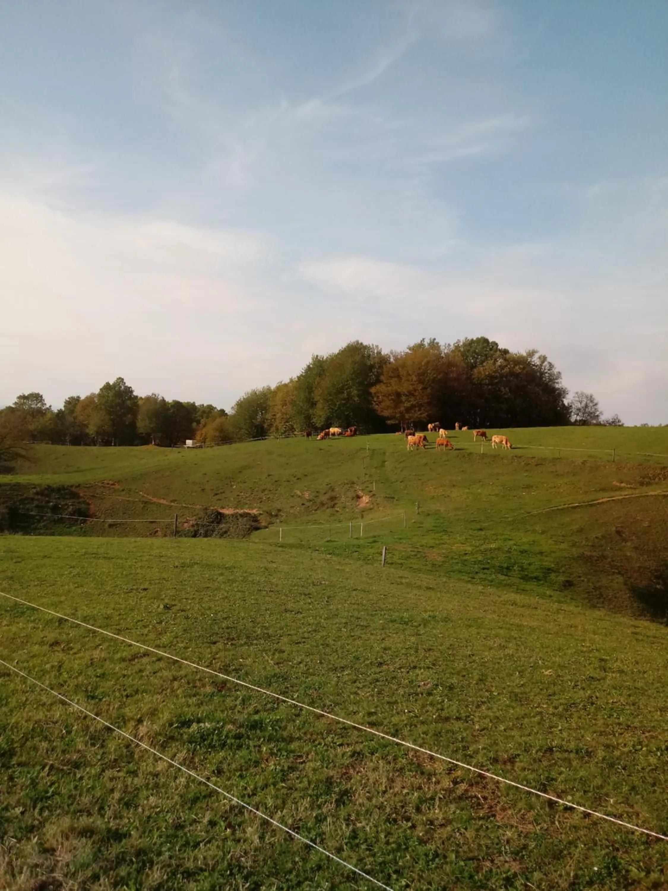 Natural landscape in Bed&Breakfast Zilje