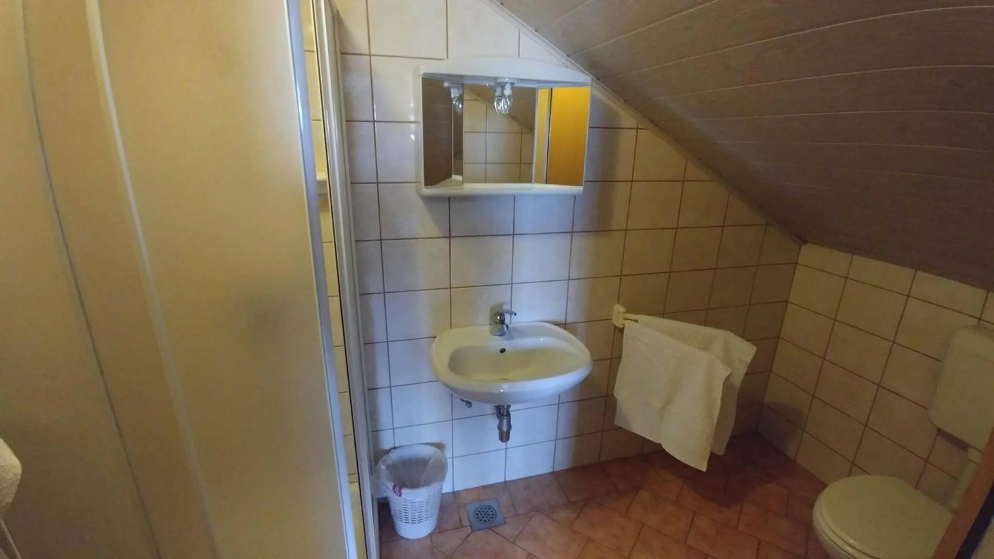 Shower in Bed&Breakfast Zilje
