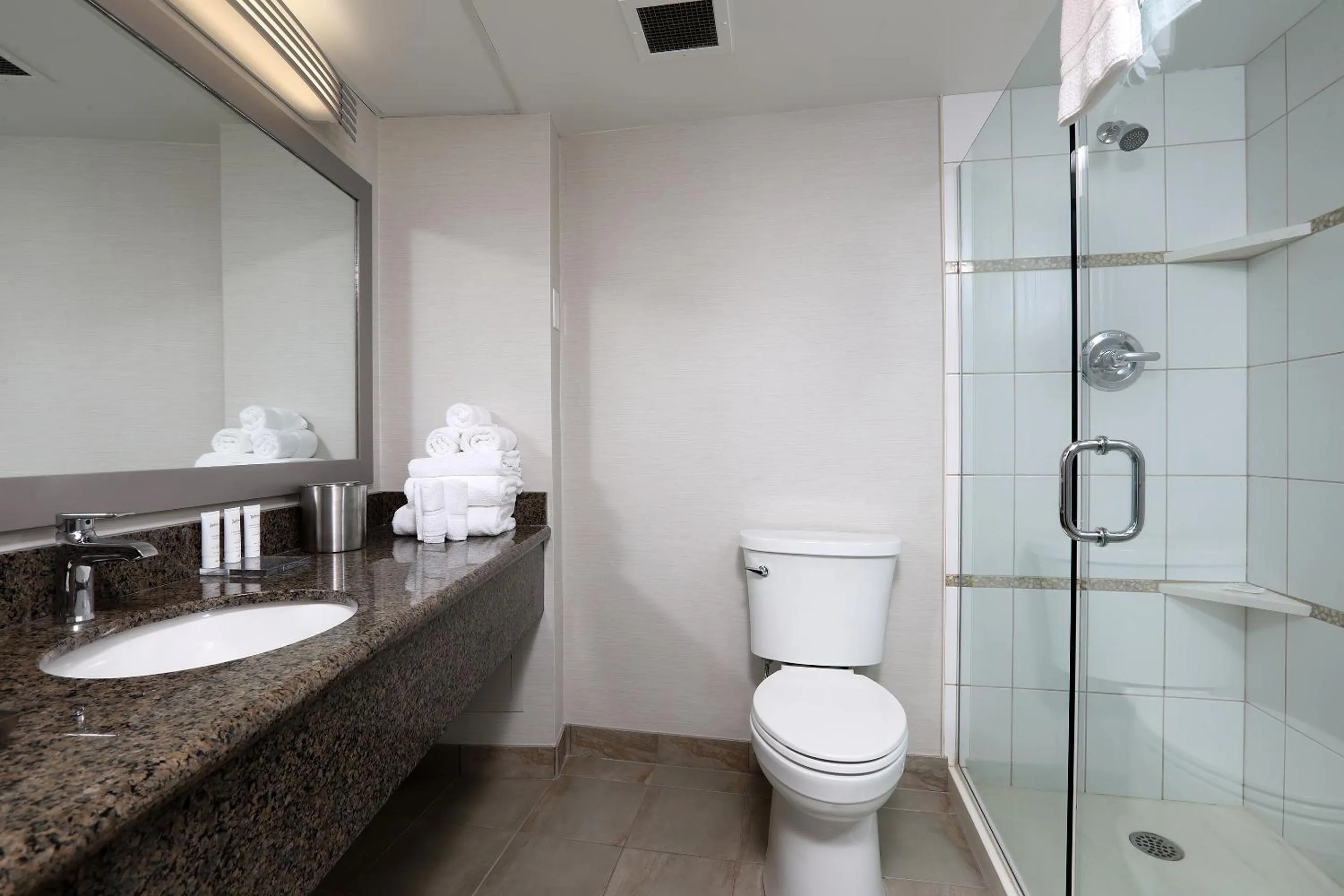 Shower in Radisson Hotel Winnipeg Downtown