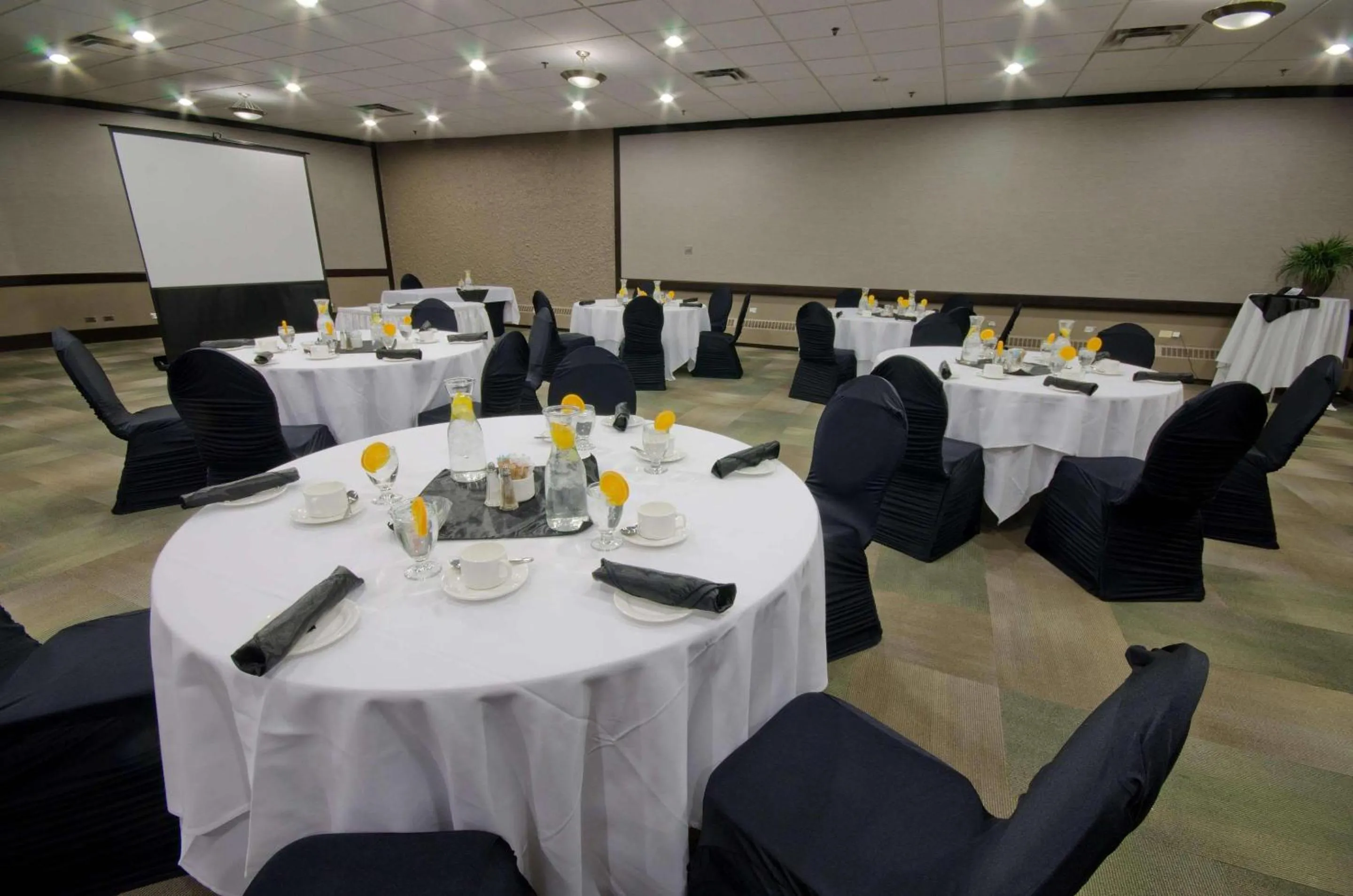 Meeting/conference room in Radisson Hotel Winnipeg Downtown