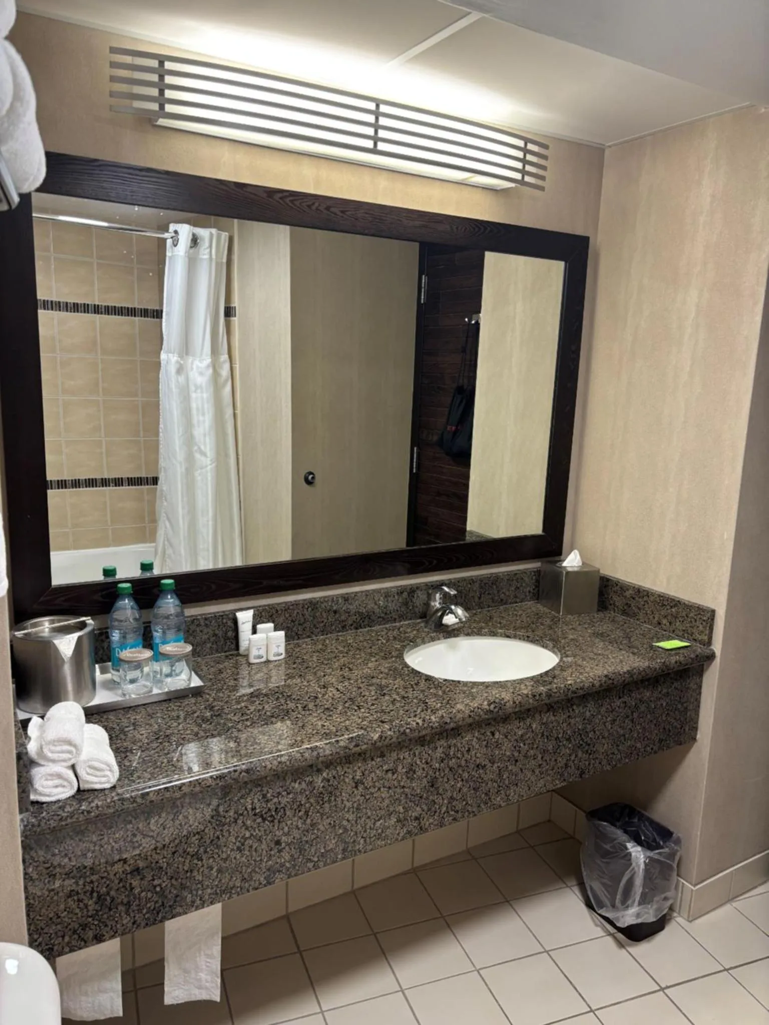 Bathroom in Radisson Hotel Winnipeg Downtown