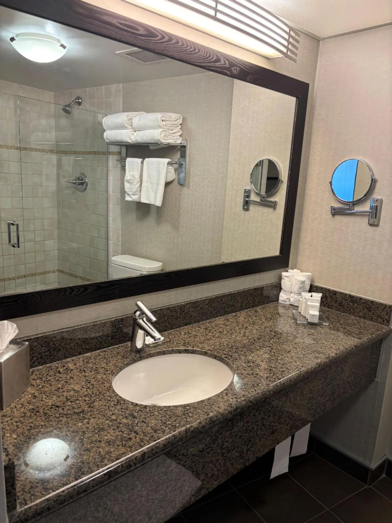 Bathroom in Radisson Hotel Winnipeg Downtown