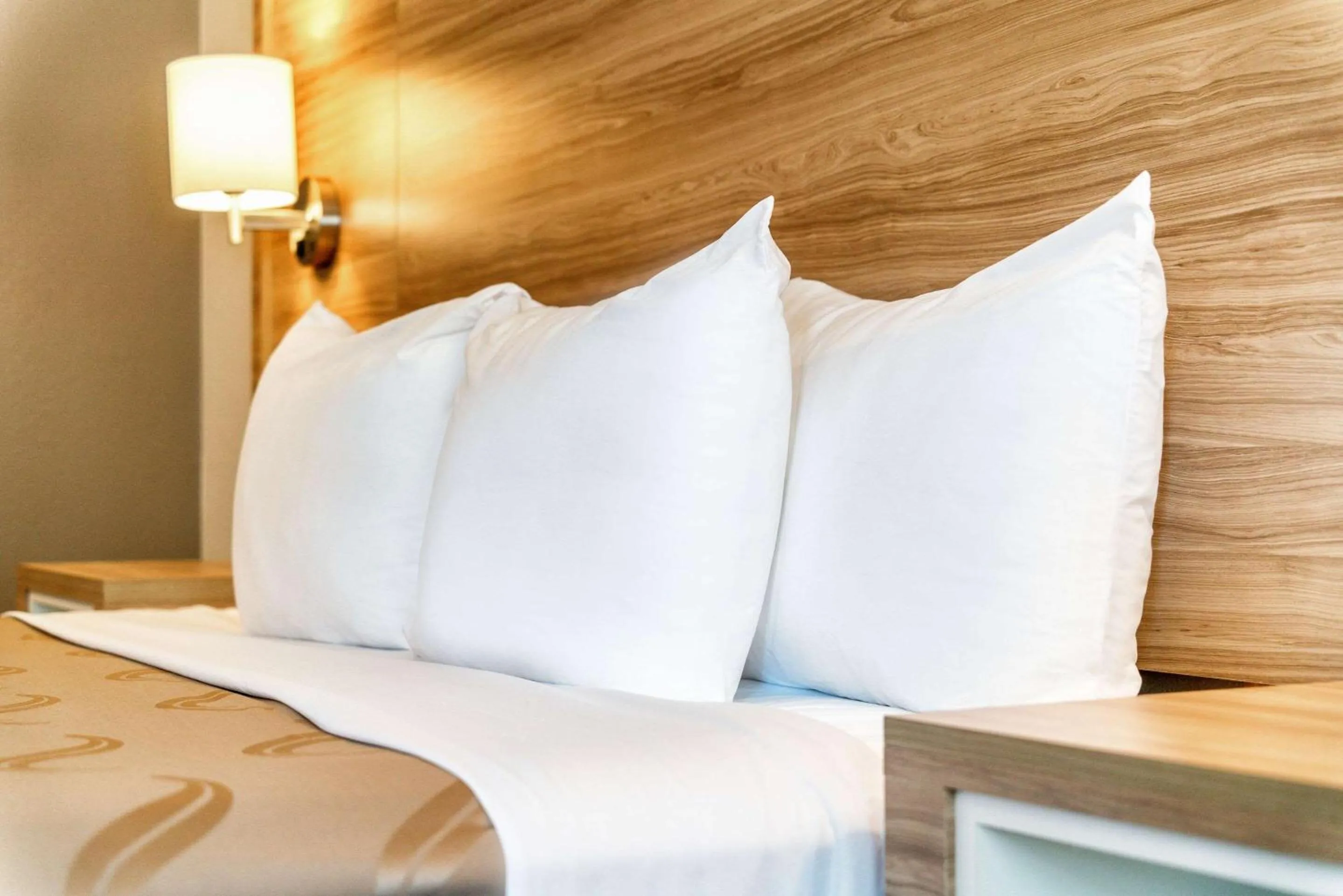 Bedroom in Quality Inn Chandler I-10