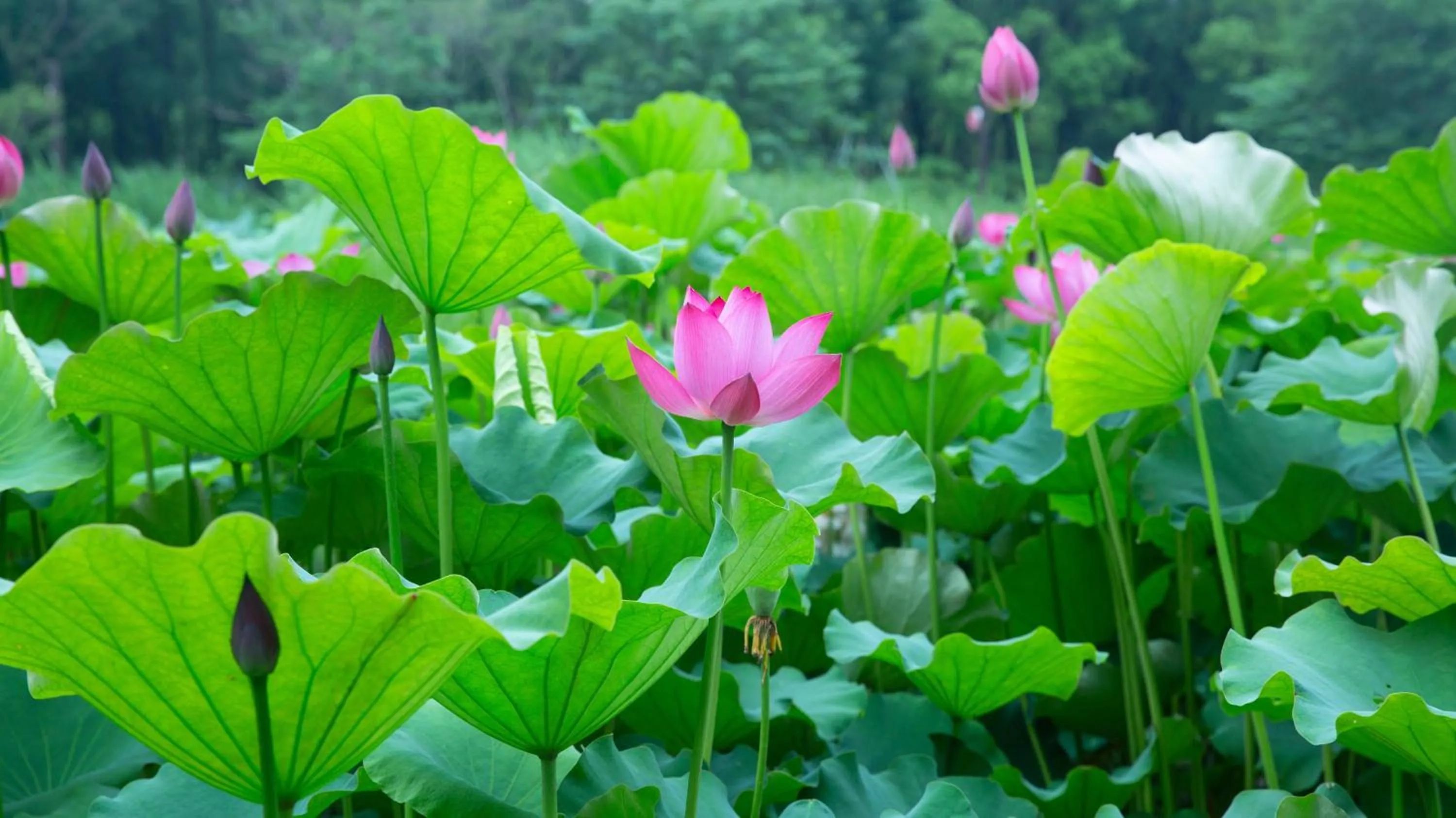 Other in Holiday Inn Kunshan Huaqiao by IHG