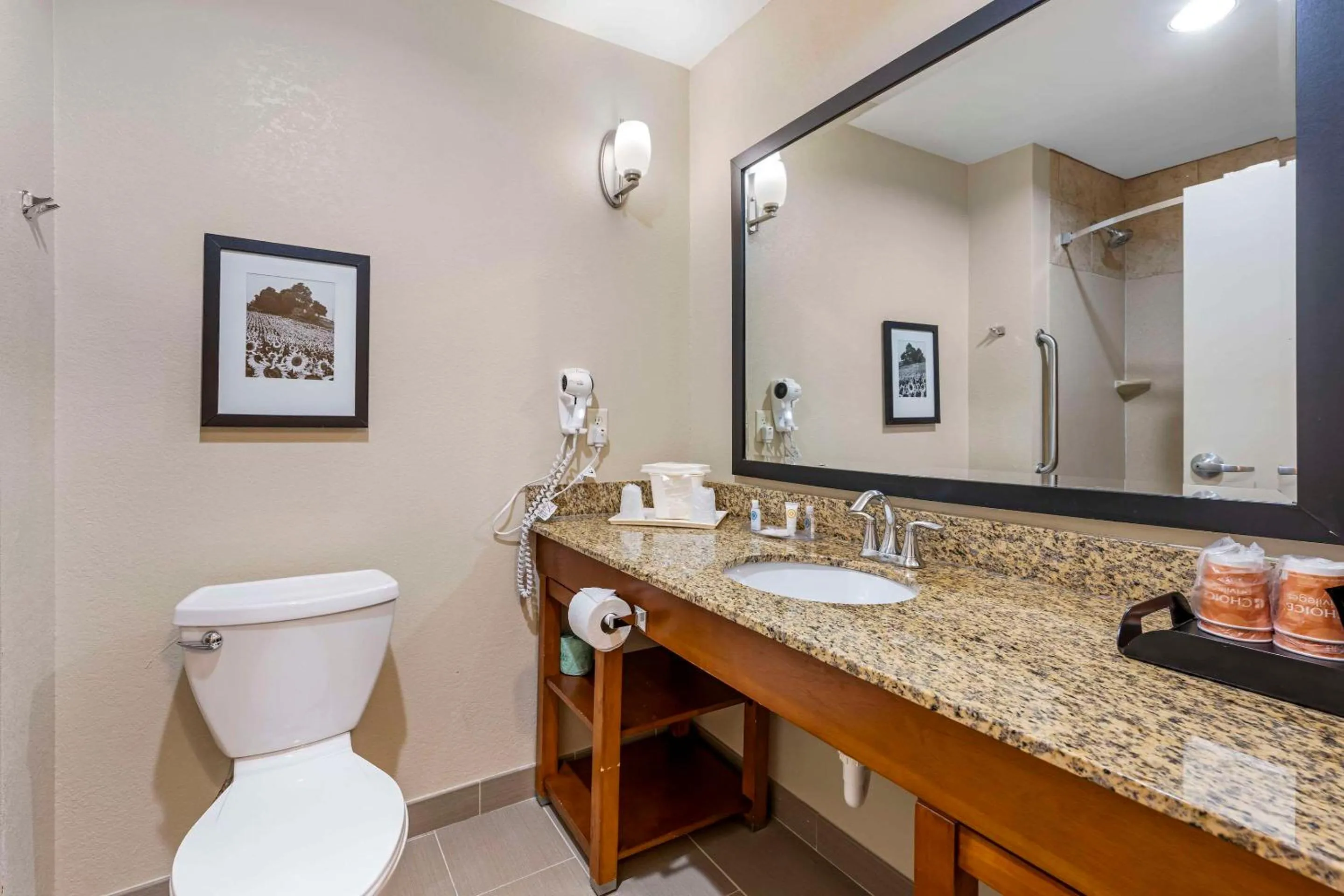 Bedroom in Comfort Suites East Lincoln - Mall Area