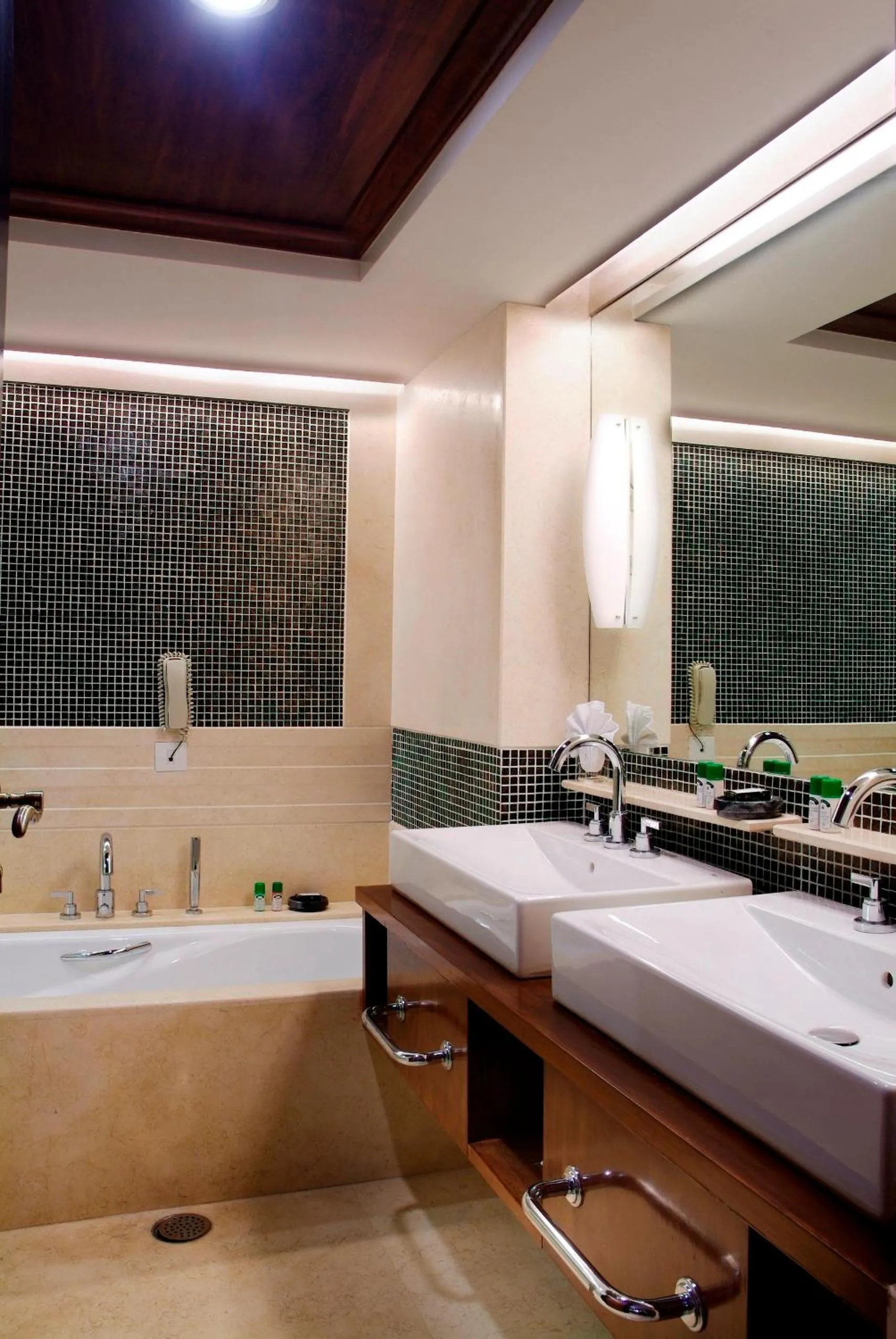 Shower in The Fern, Jaipur, Series by Marriott