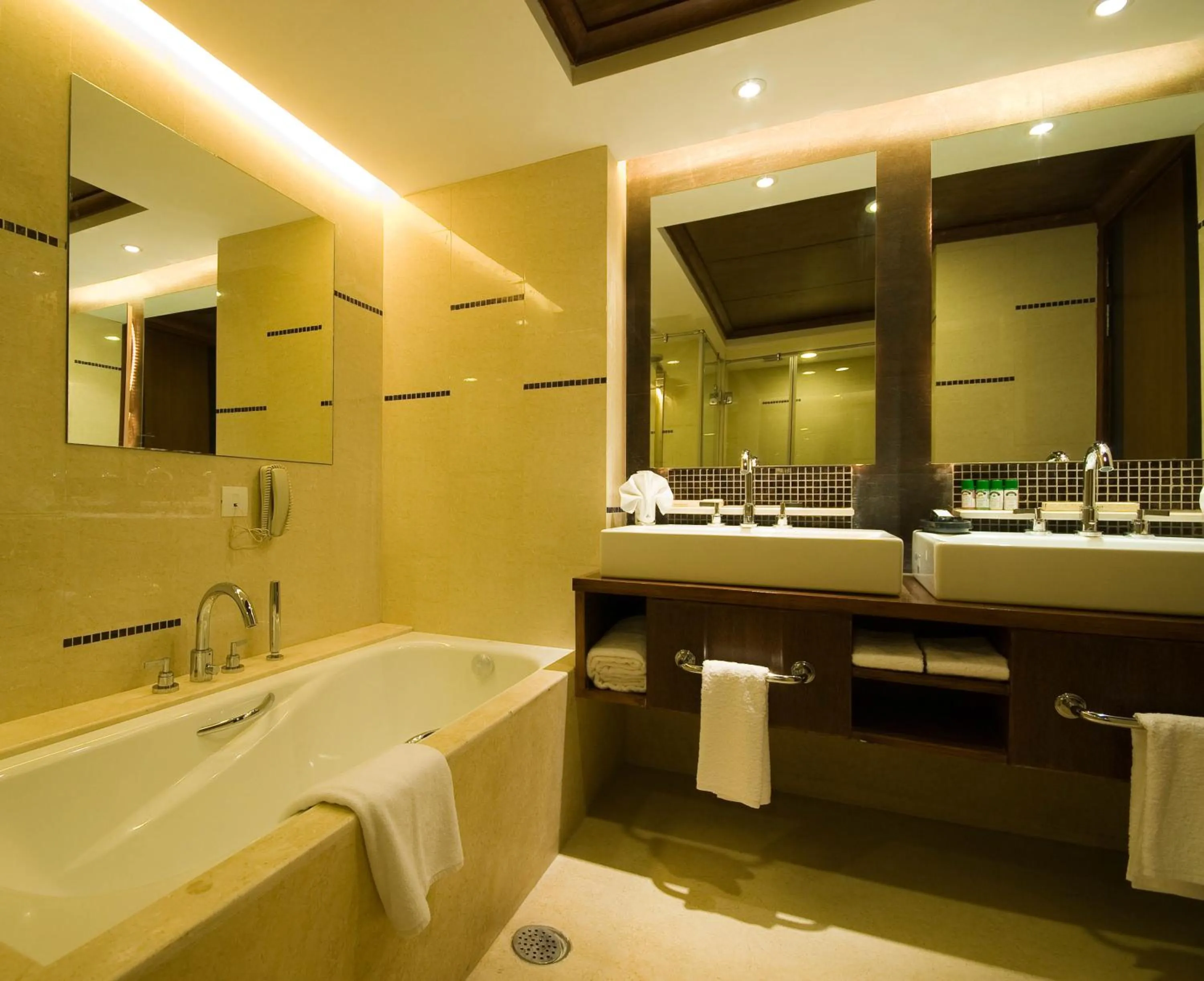 Shower in The Fern, Jaipur, Series by Marriott