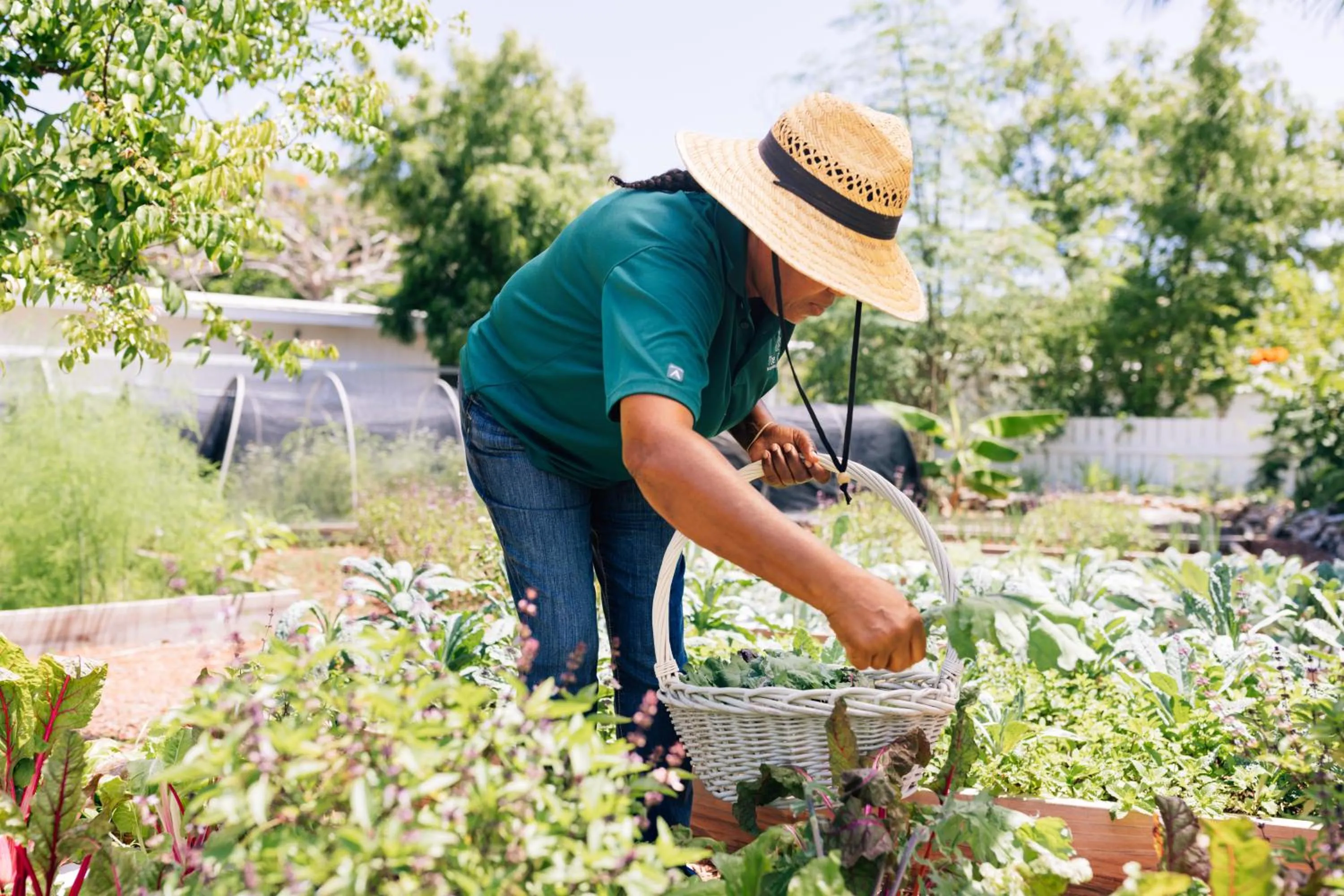 Garden in The Cove Eleuthera