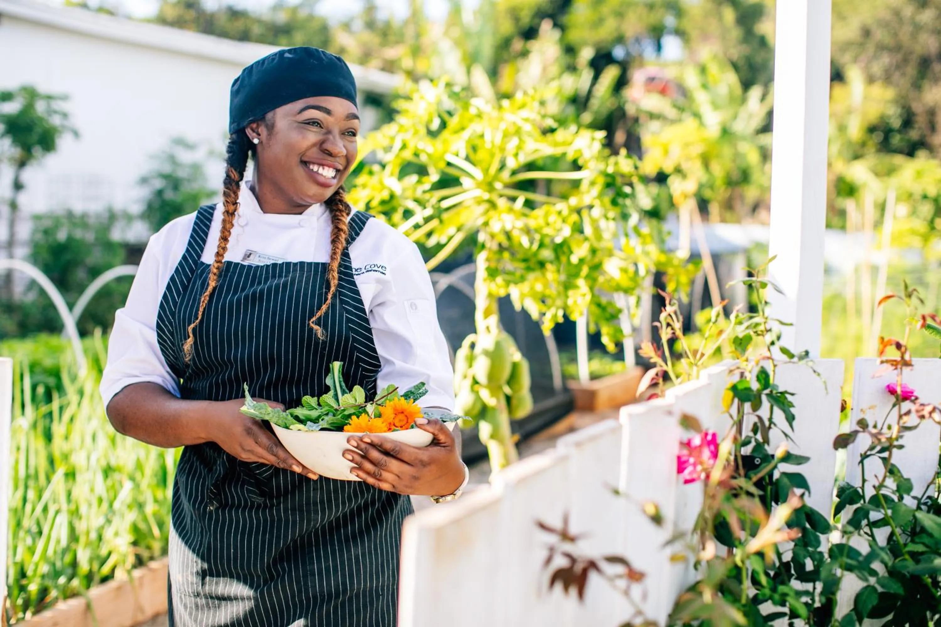 Garden in The Cove Eleuthera