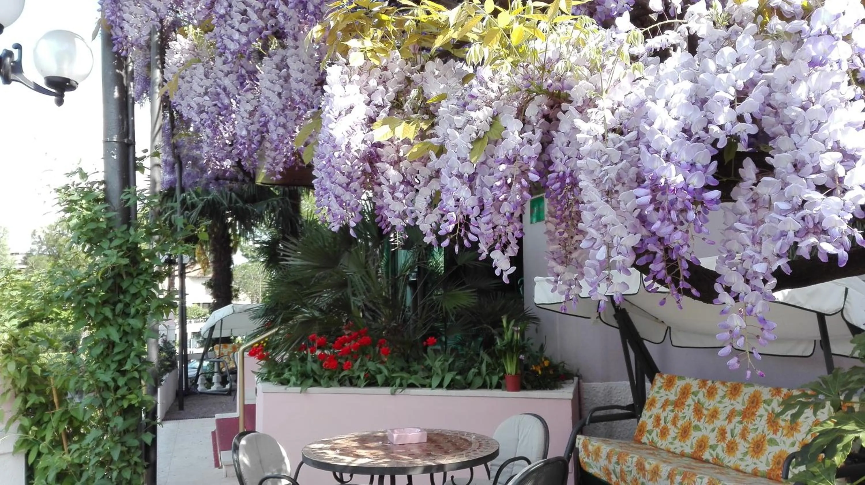 Patio in Hotel Giardinetto