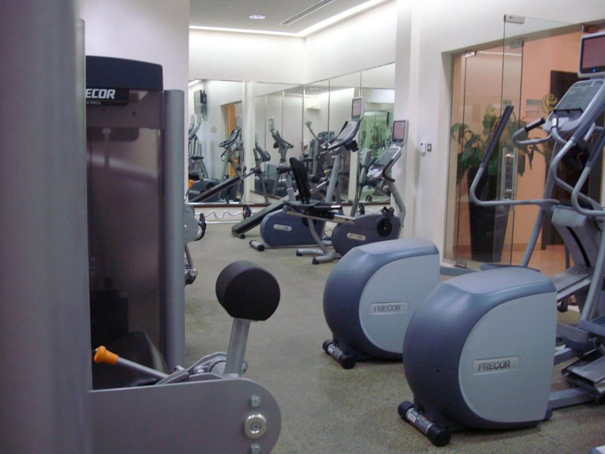 Fitness centre/facilities in Safir Hotel Doha