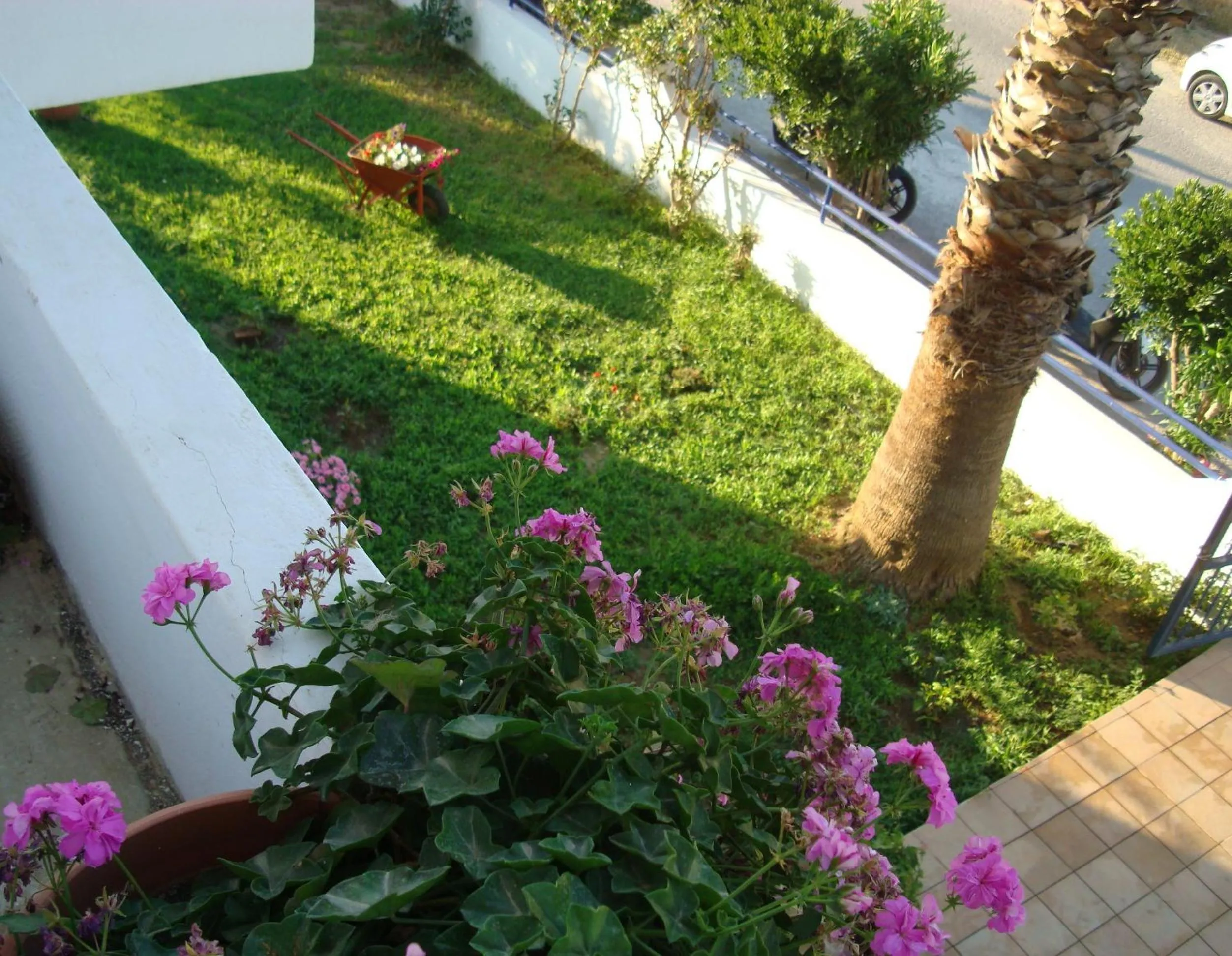 Garden in Philippos Studios & Apartments