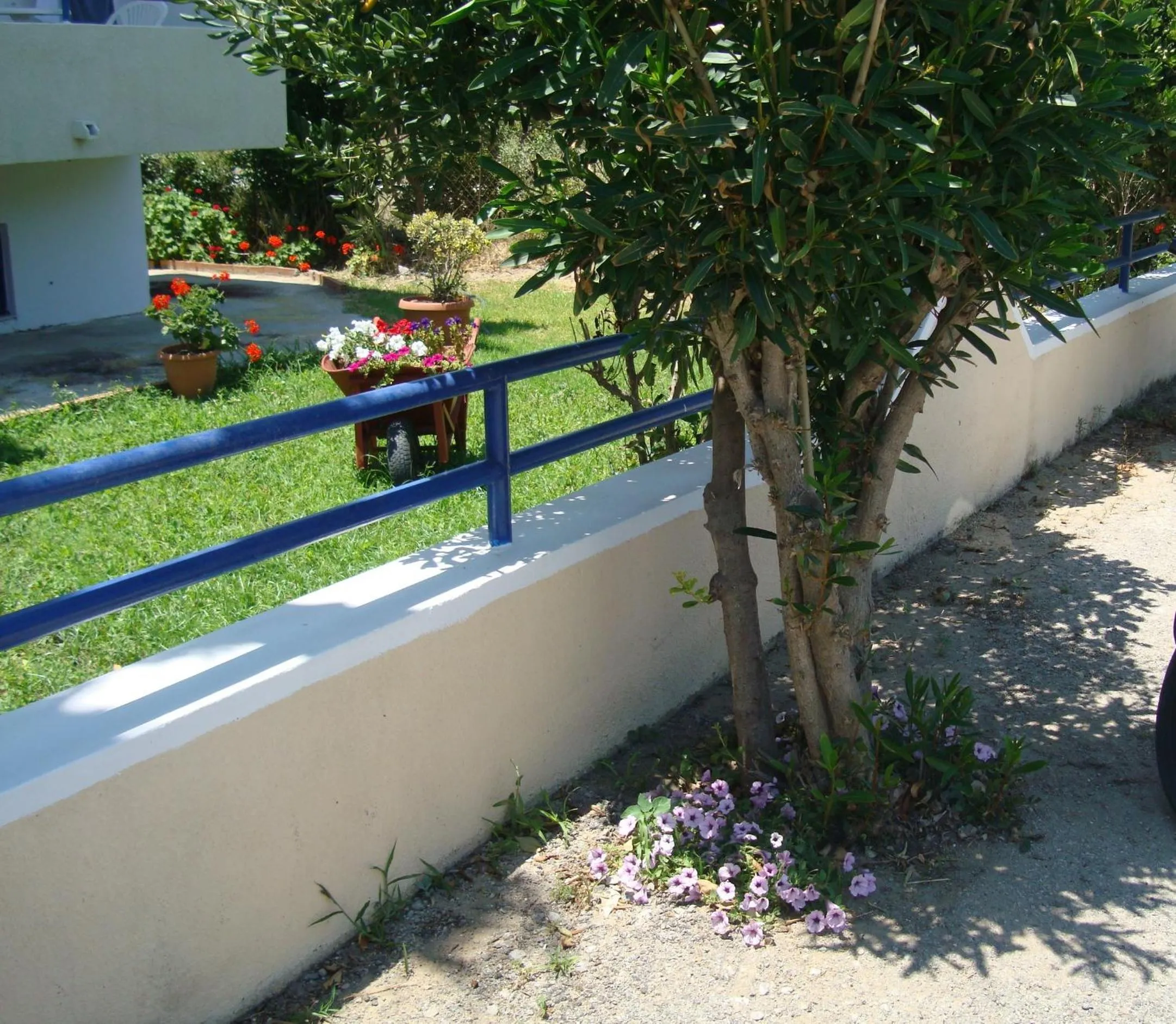 Garden in Philippos Studios & Apartments