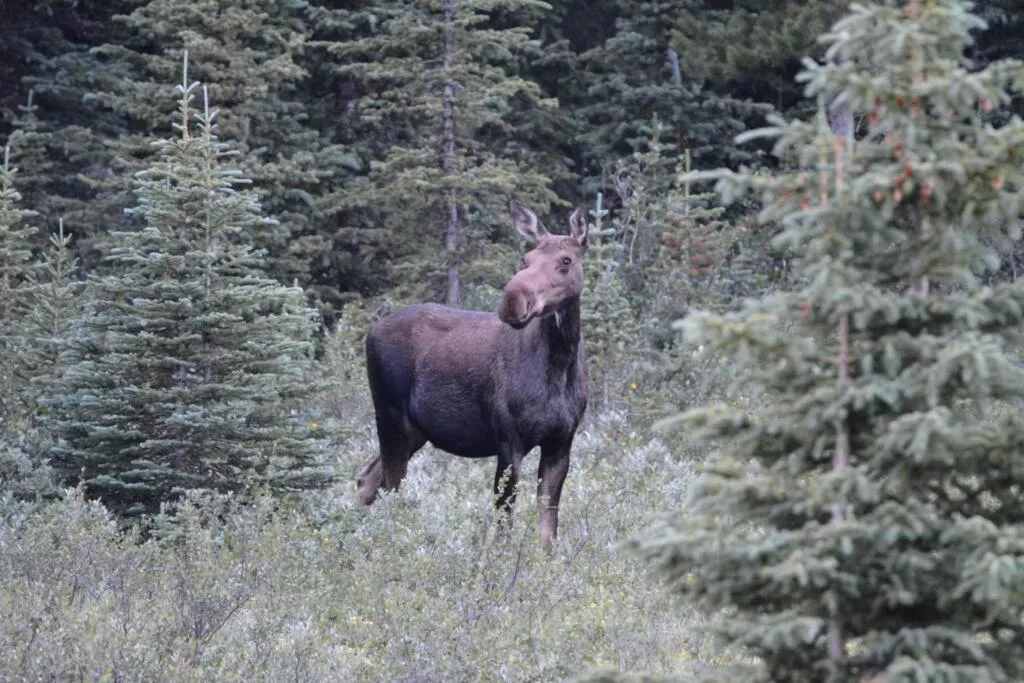 RidgeView Loft - Top Floor 2 Bed 2 Bath, Amazing Views