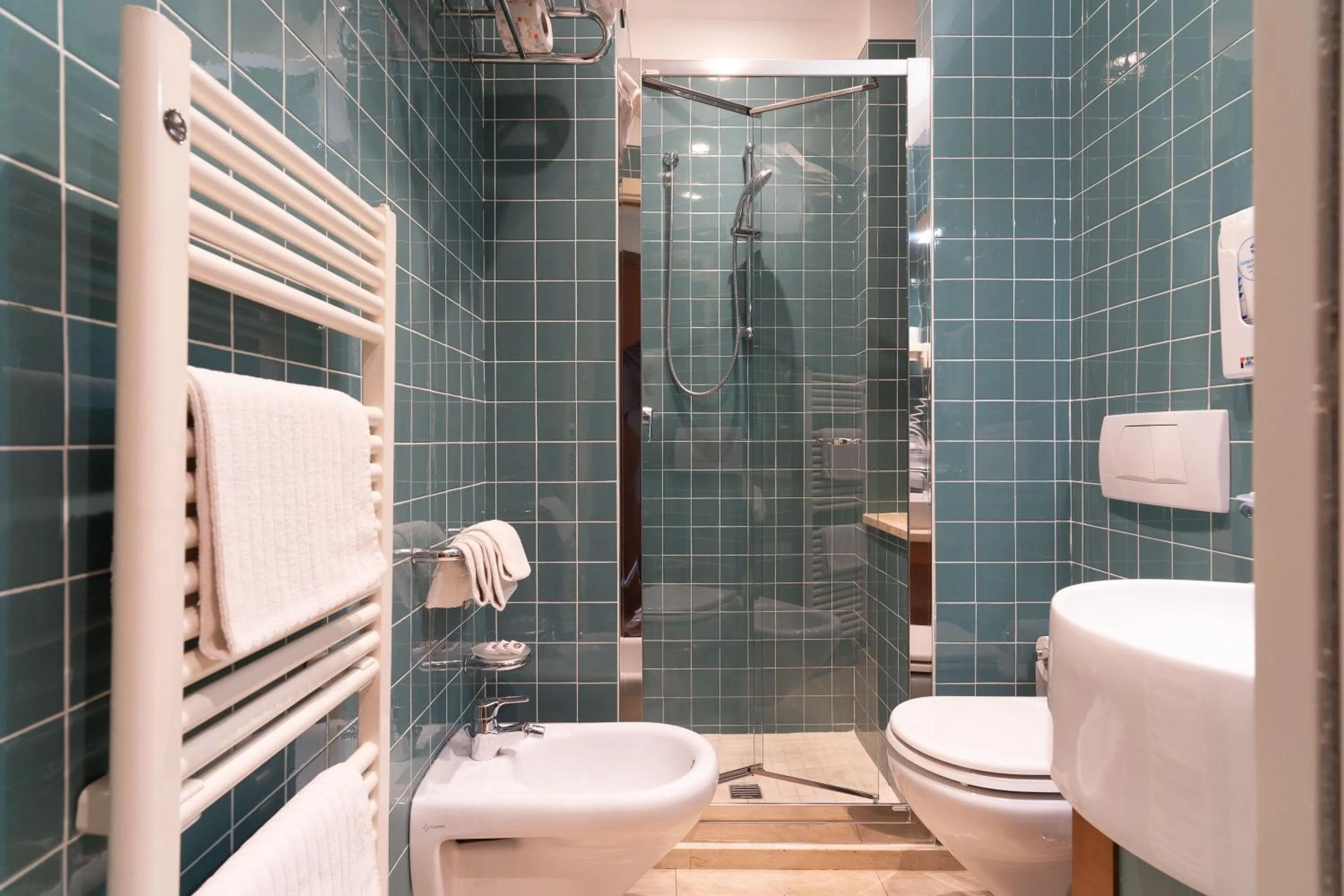 Bathroom in Hotel Rosa