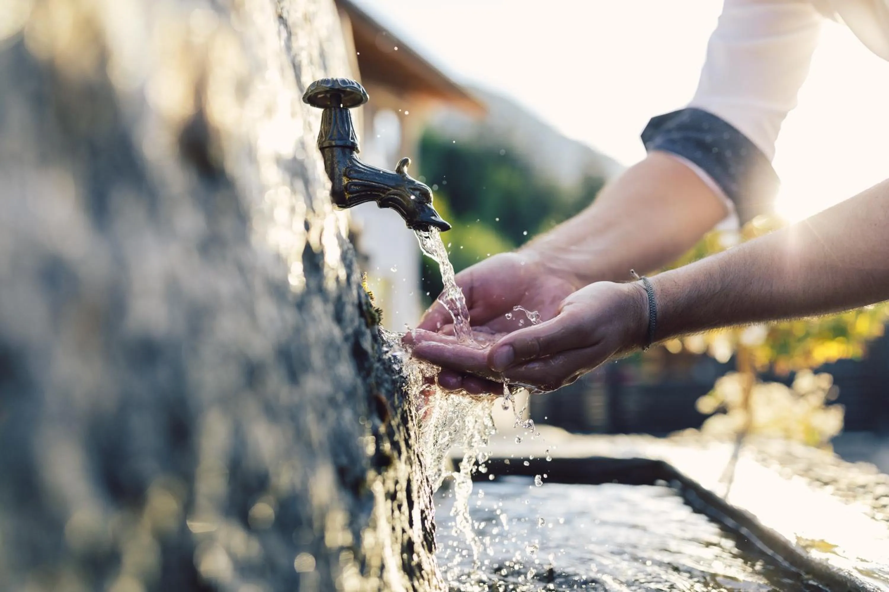 Garden in Hotel Ritzlerhof - Panorama und Spa