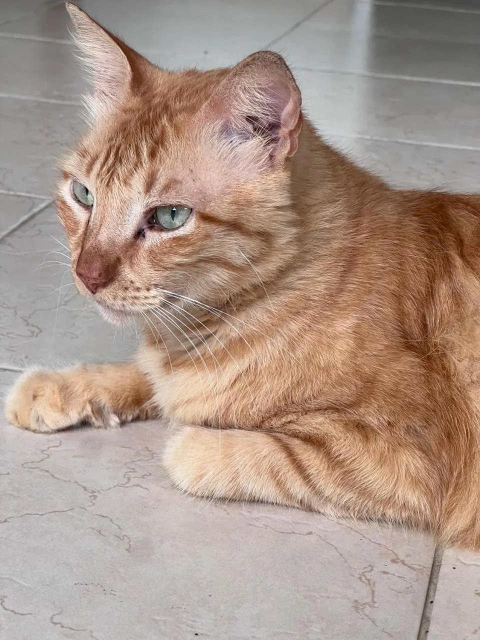 Hostal del Mar - Tolu