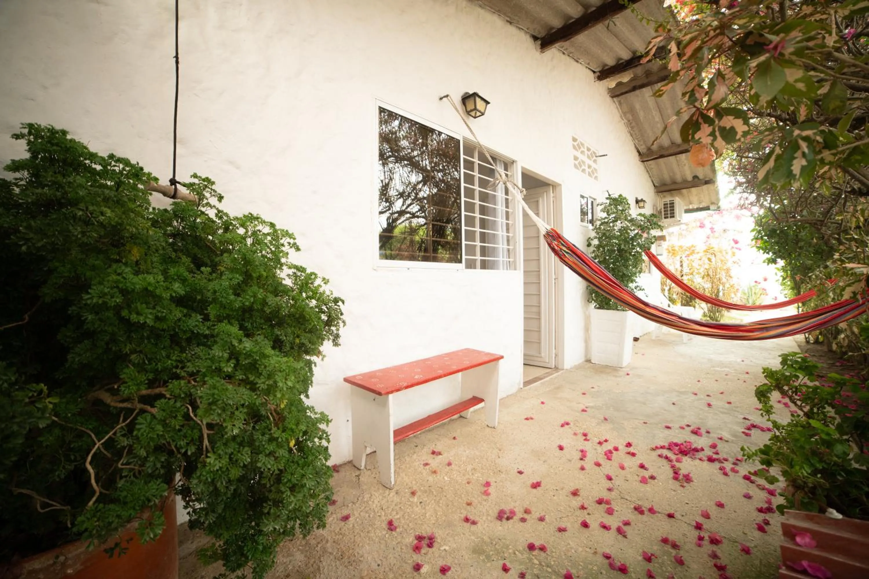 Garden view in Hostal del Mar - Tolu