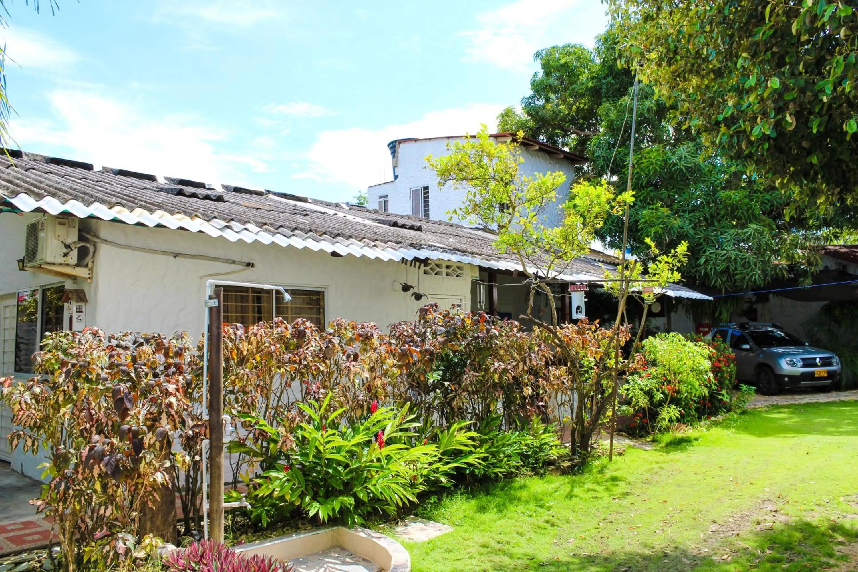 Garden view in Hostal del Mar - Tolu