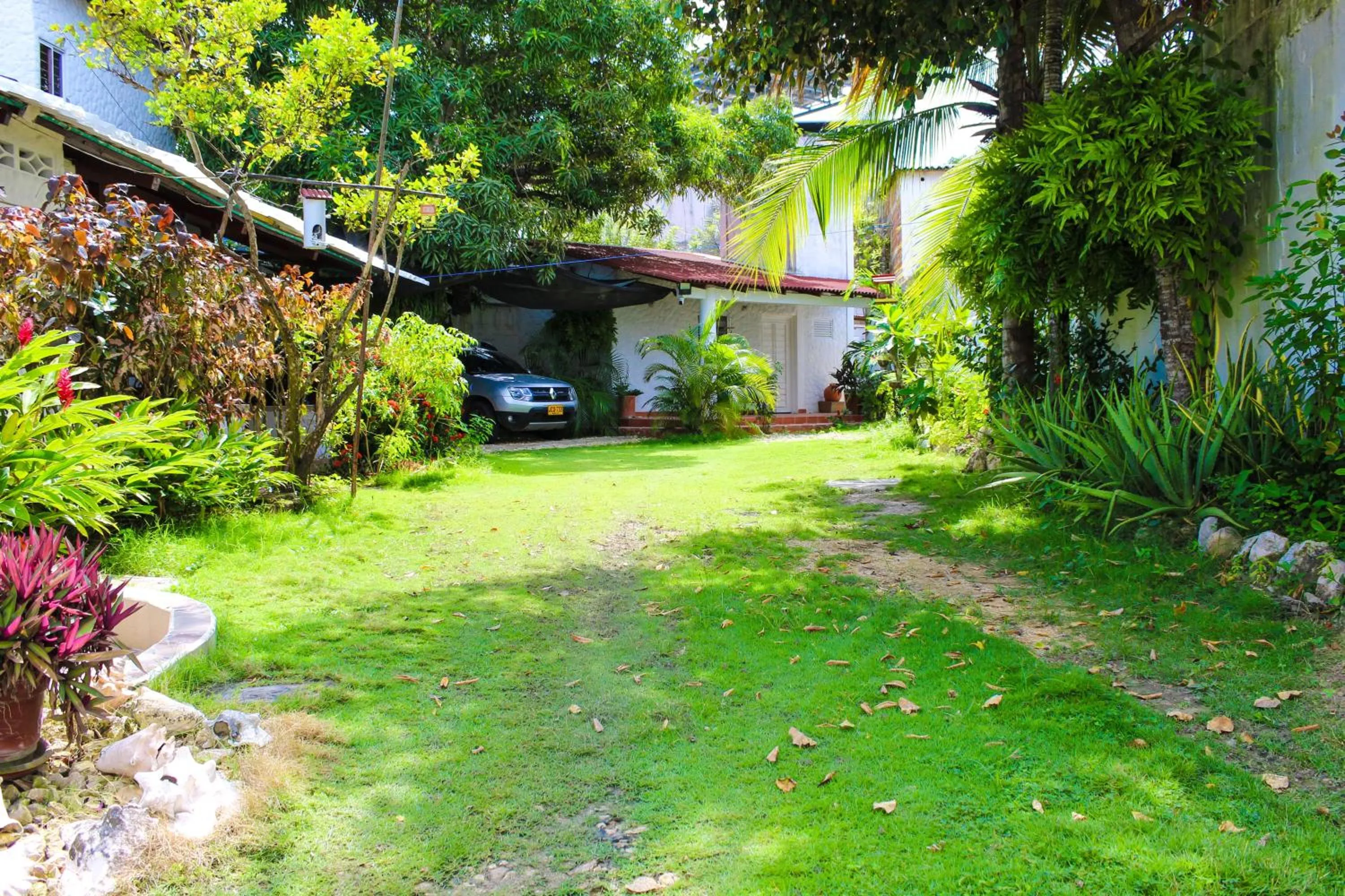 Garden view in Hostal del Mar - Tolu