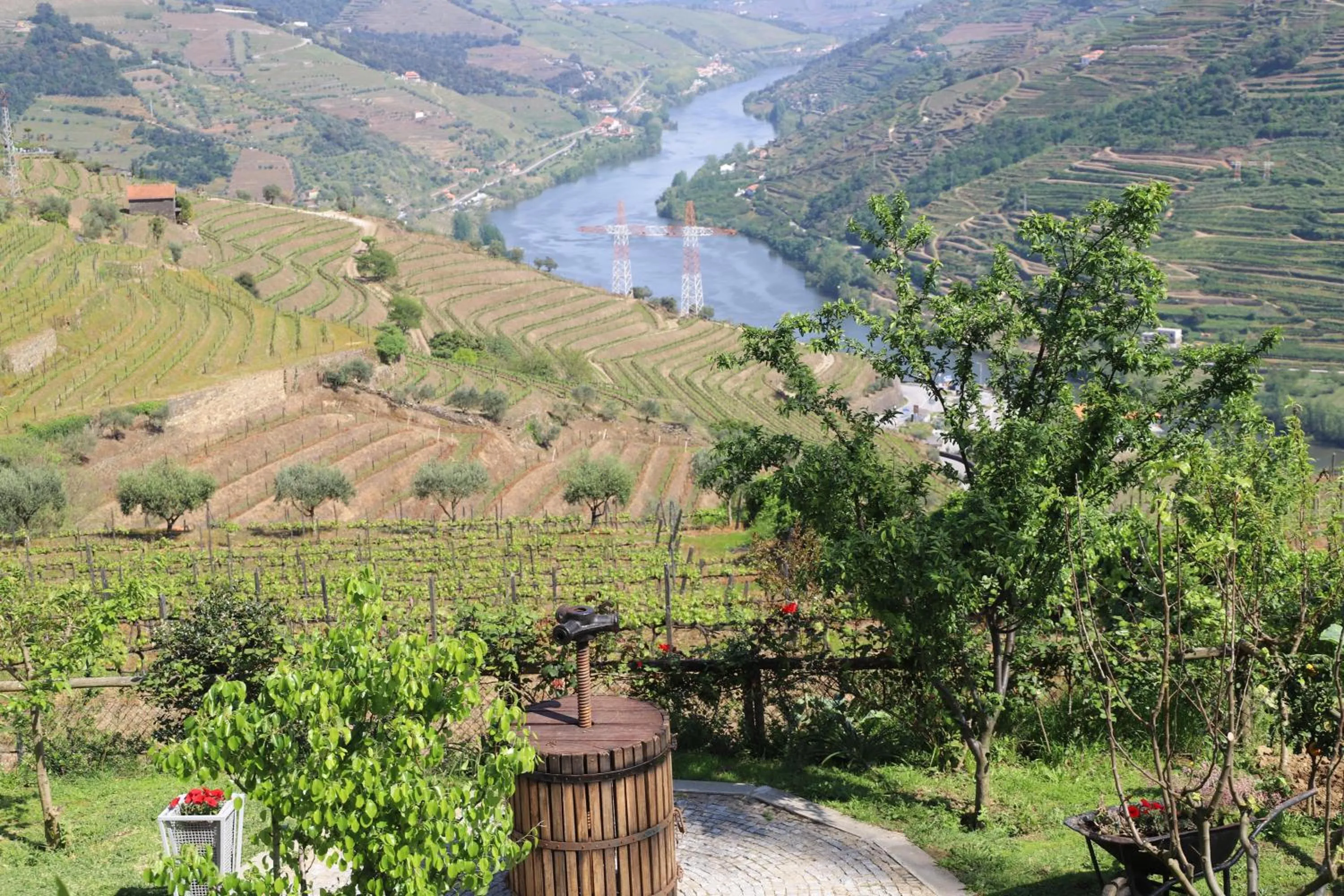 Natural landscape in Casa Vale do Douro