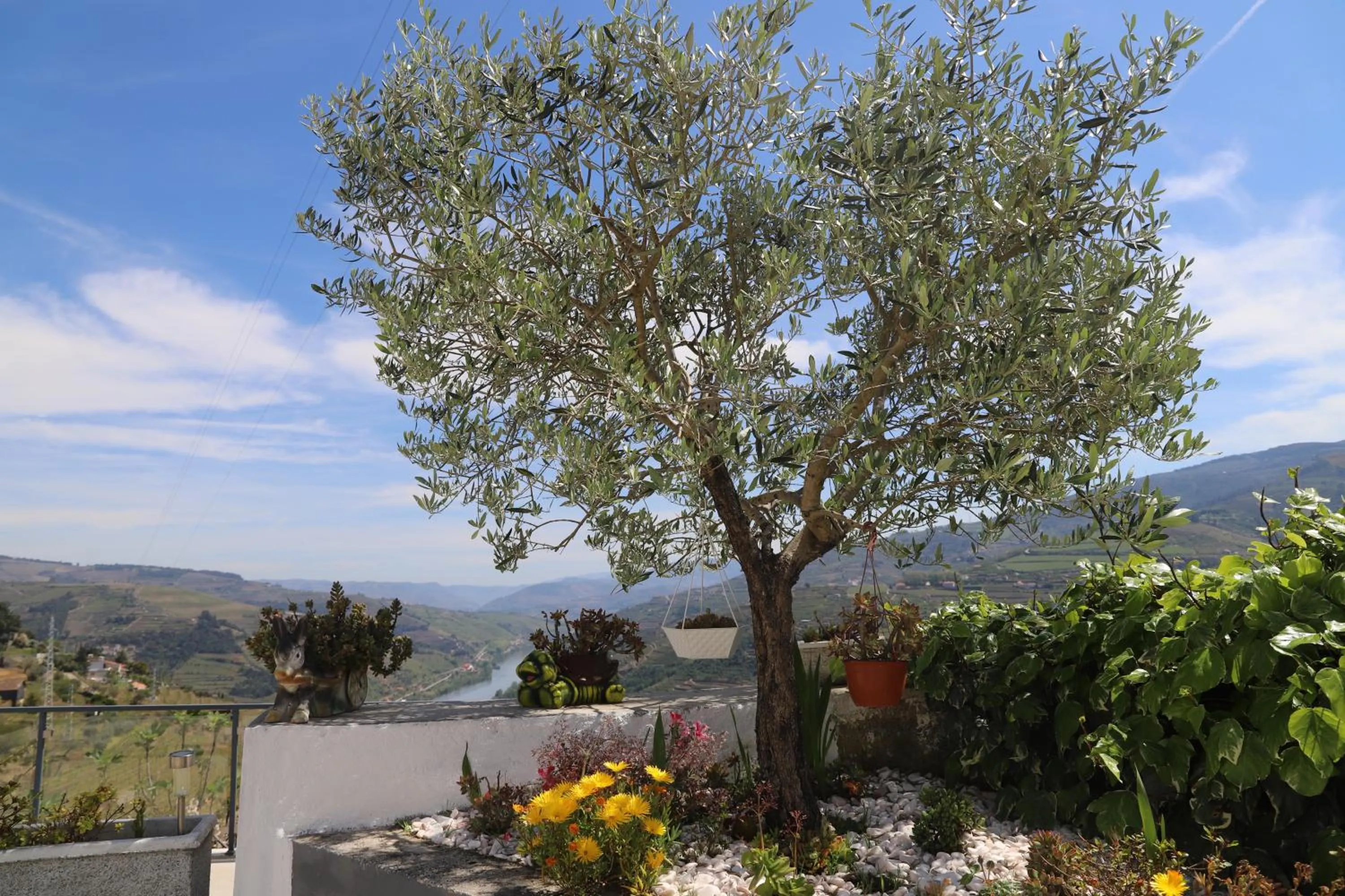 Natural landscape in Casa Vale do Douro