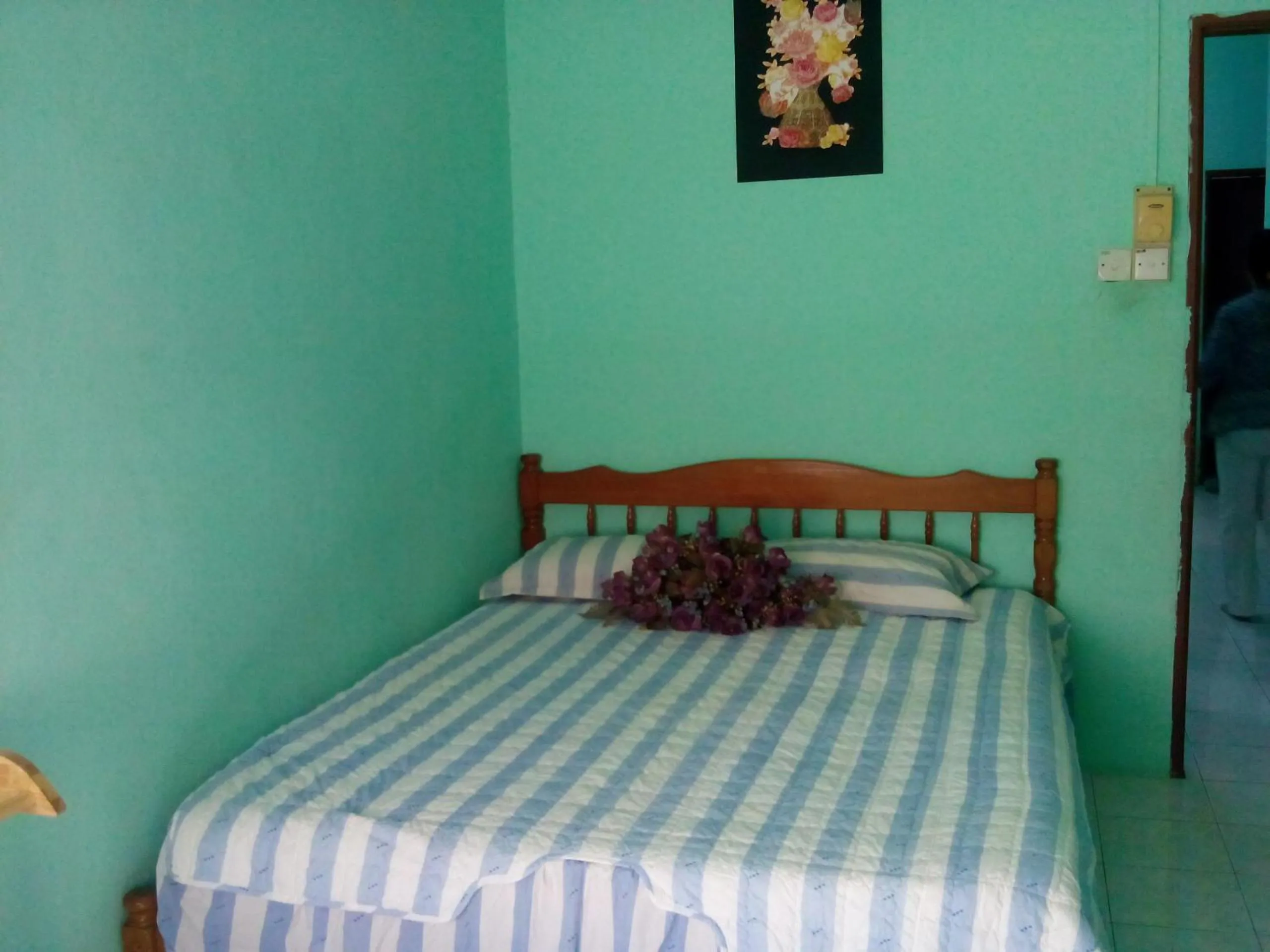 Bed in Shima Homestay
