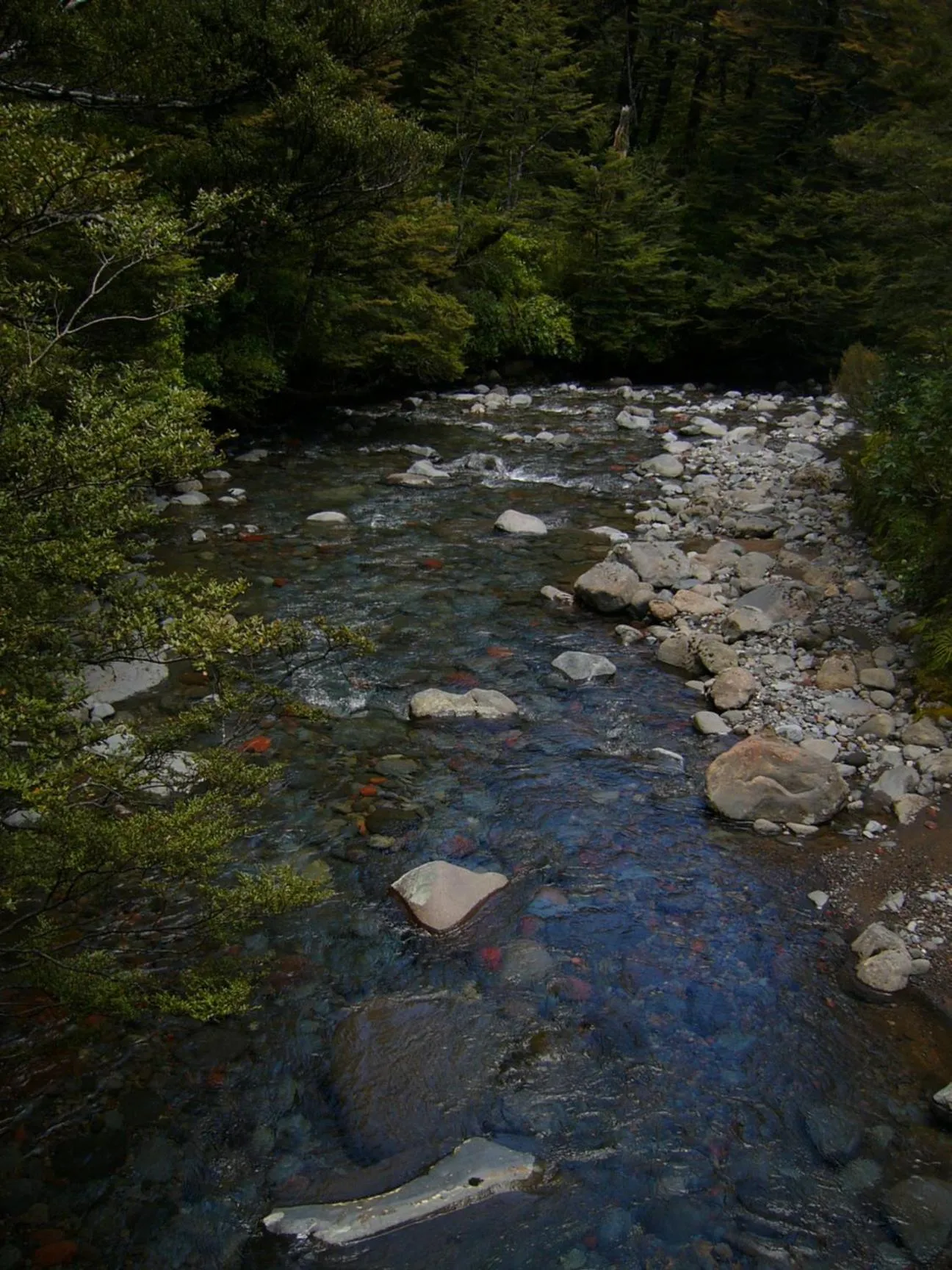 Natural landscape in Mountain Heights Lodge