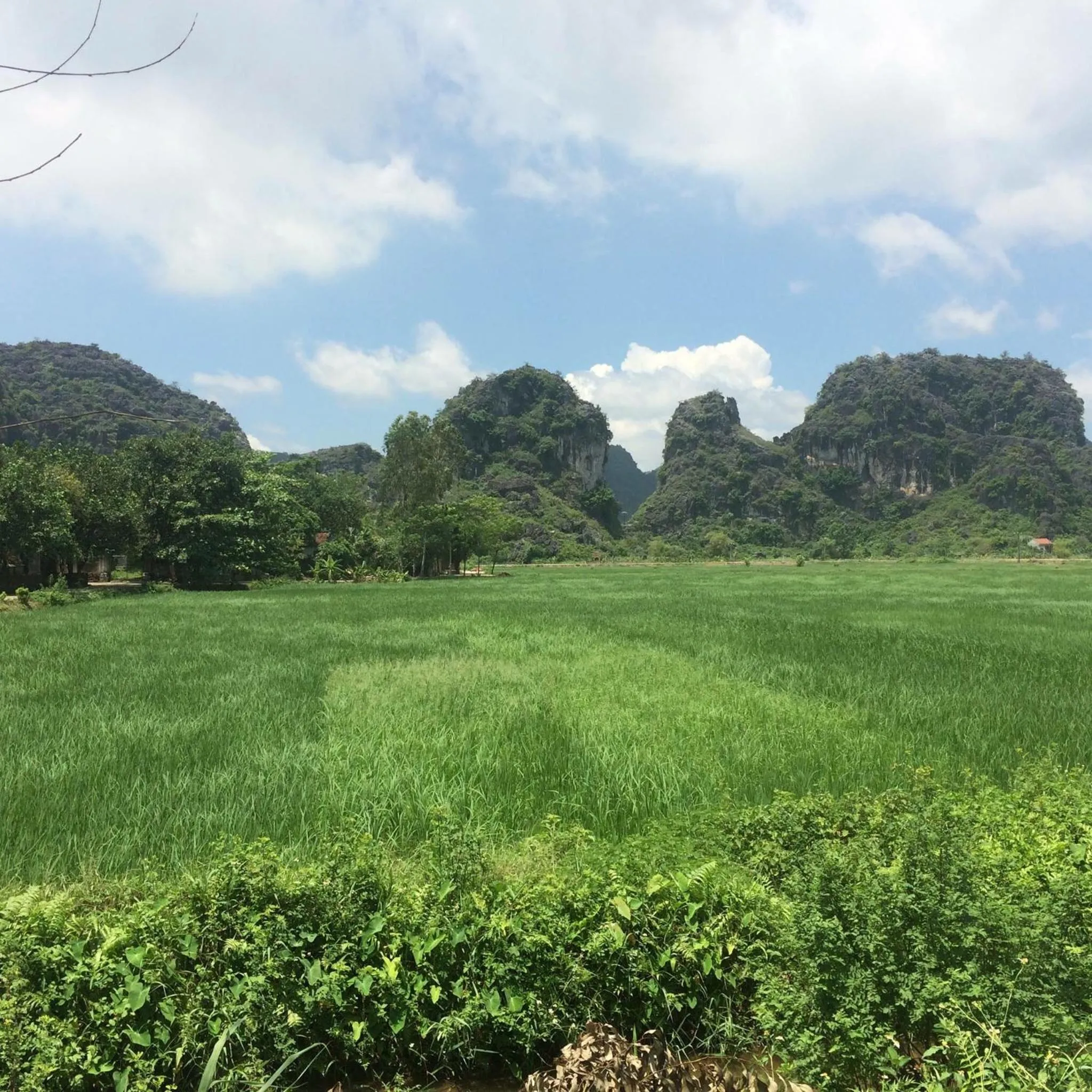 Tam Coc Tuan Minh Homestay
