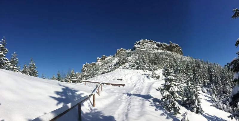 Astoria - Willa Literatów