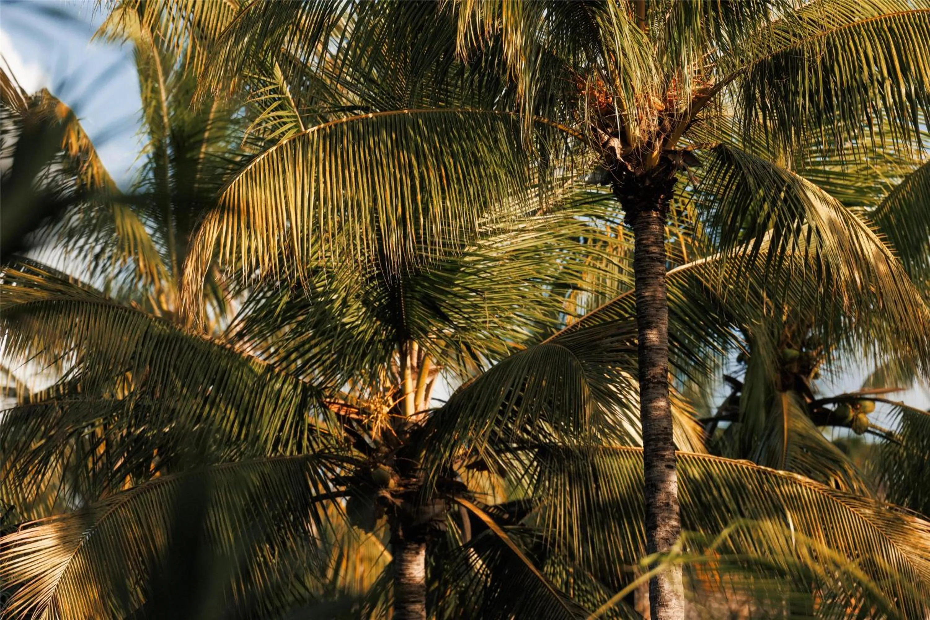 Day in One&Only Le Saint Géran, Mauritius