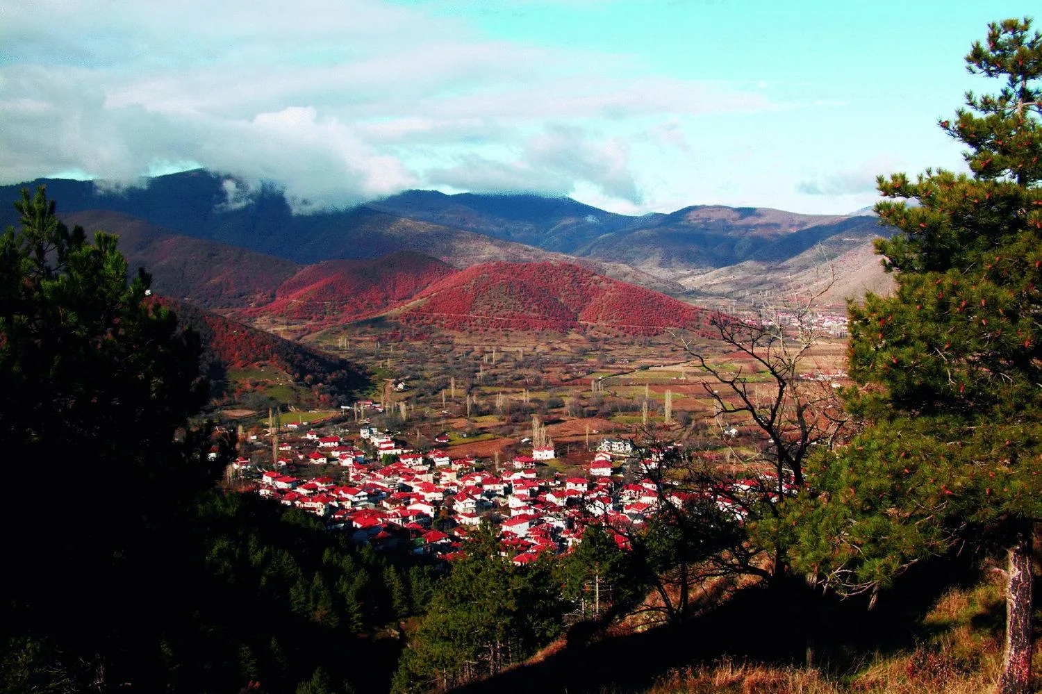 Area and facilities in Villa Kastanodasos