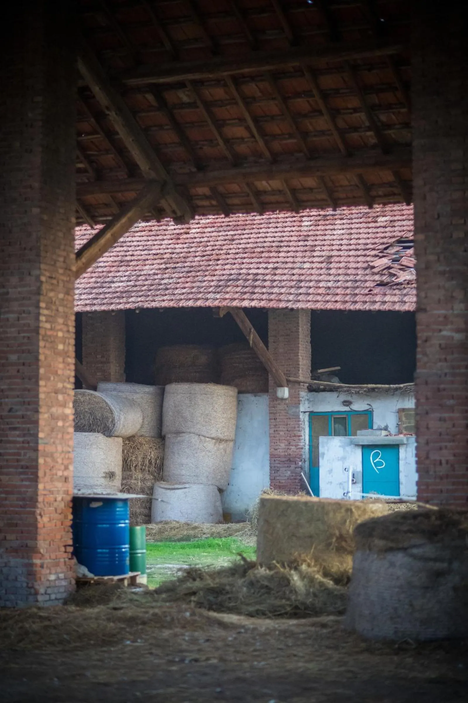 Garden in Agriturismo Beatilla
