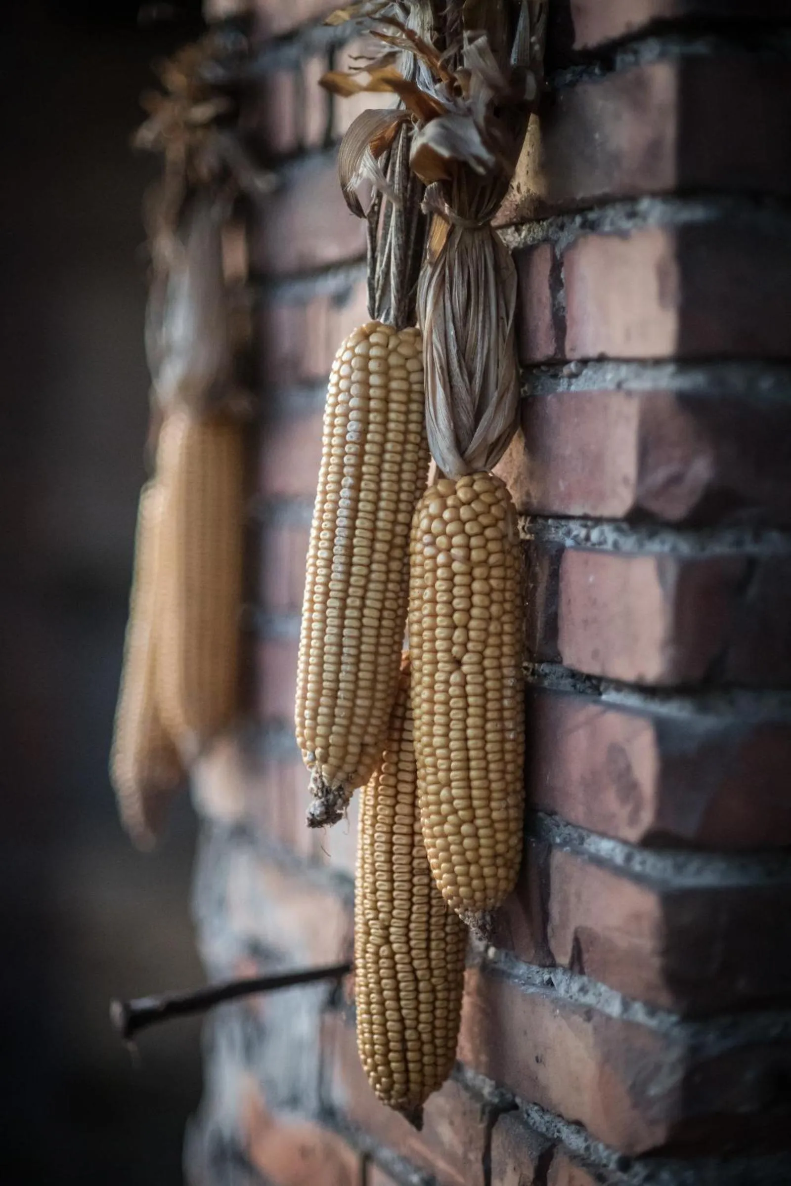 Garden in Agriturismo Beatilla