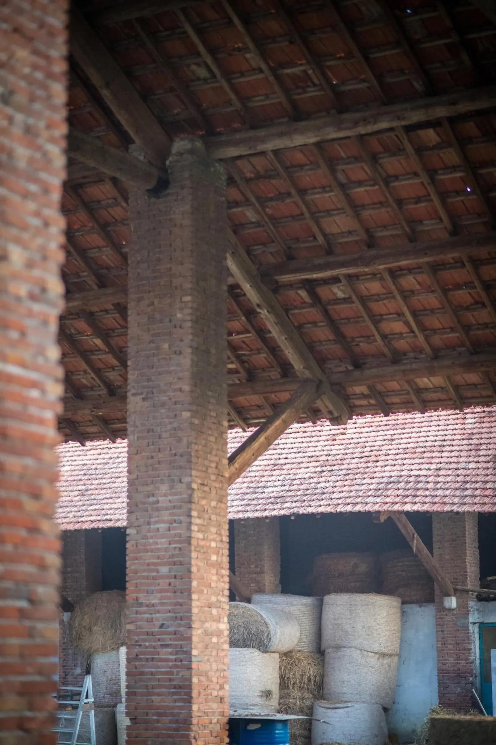 Day in Agriturismo Beatilla