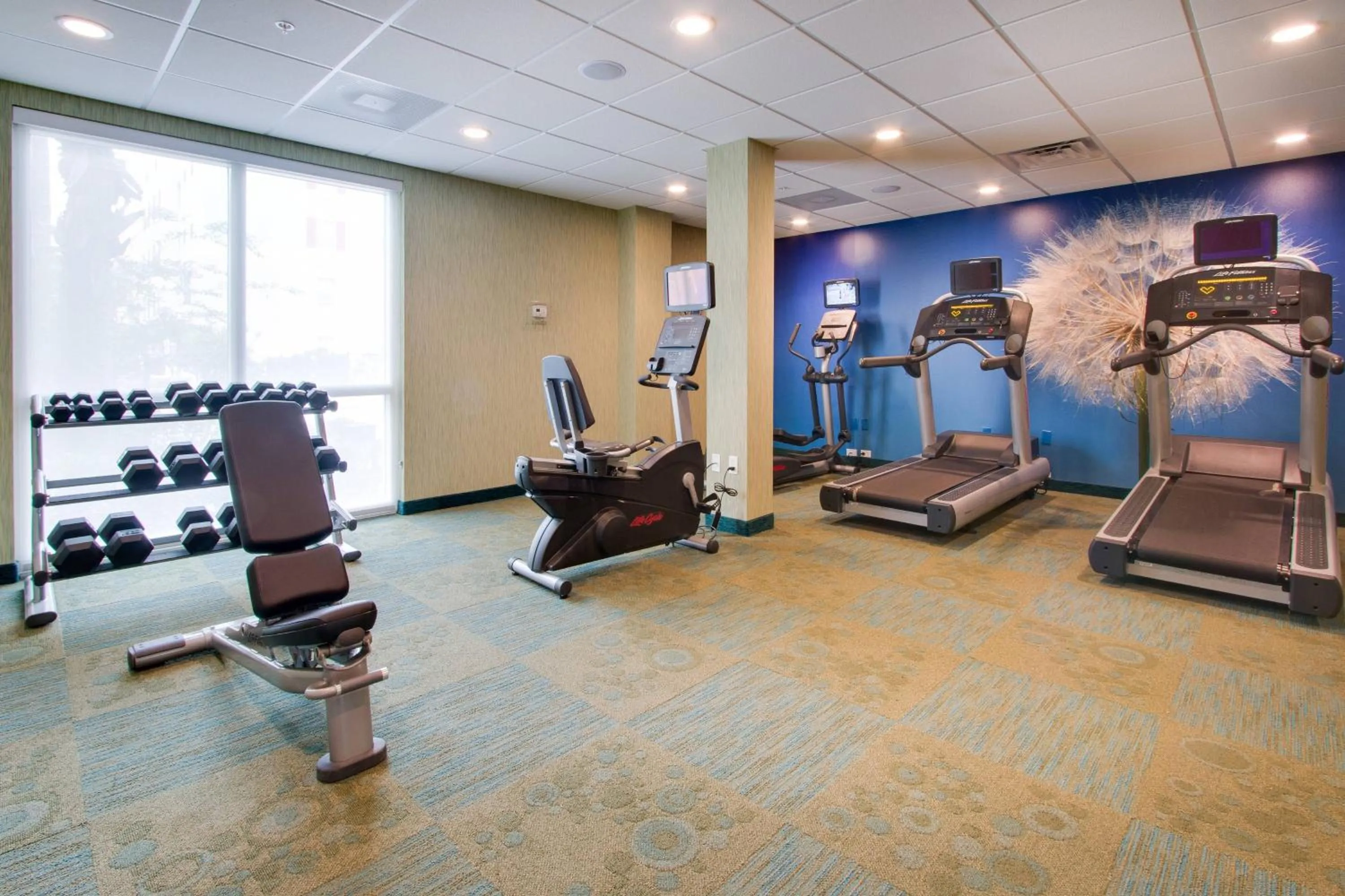 Fitness centre/facilities in SpringHill Suites by Marriott Orlando Lake Buena Vista South