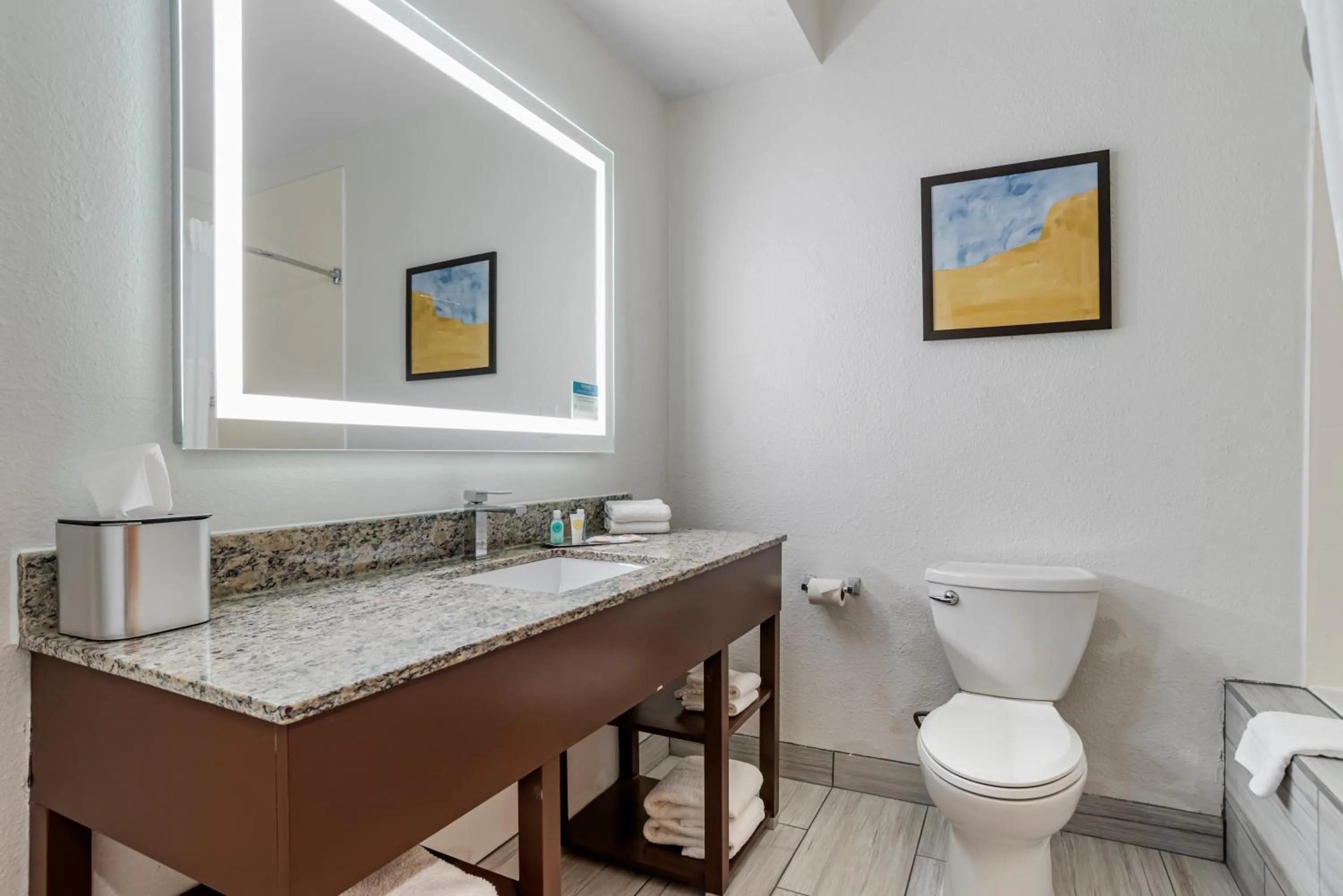 Bathroom in Comfort Suites Hattiesburg near University