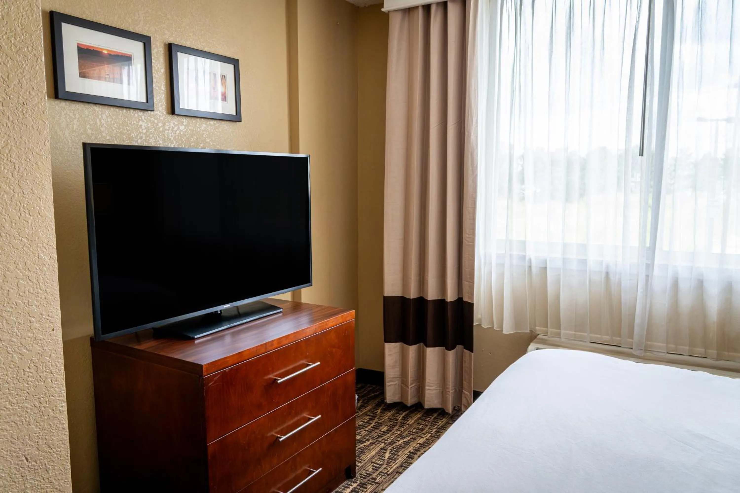 TV and multimedia, Bed in Comfort Inn & Suites Lakeland North I-4
