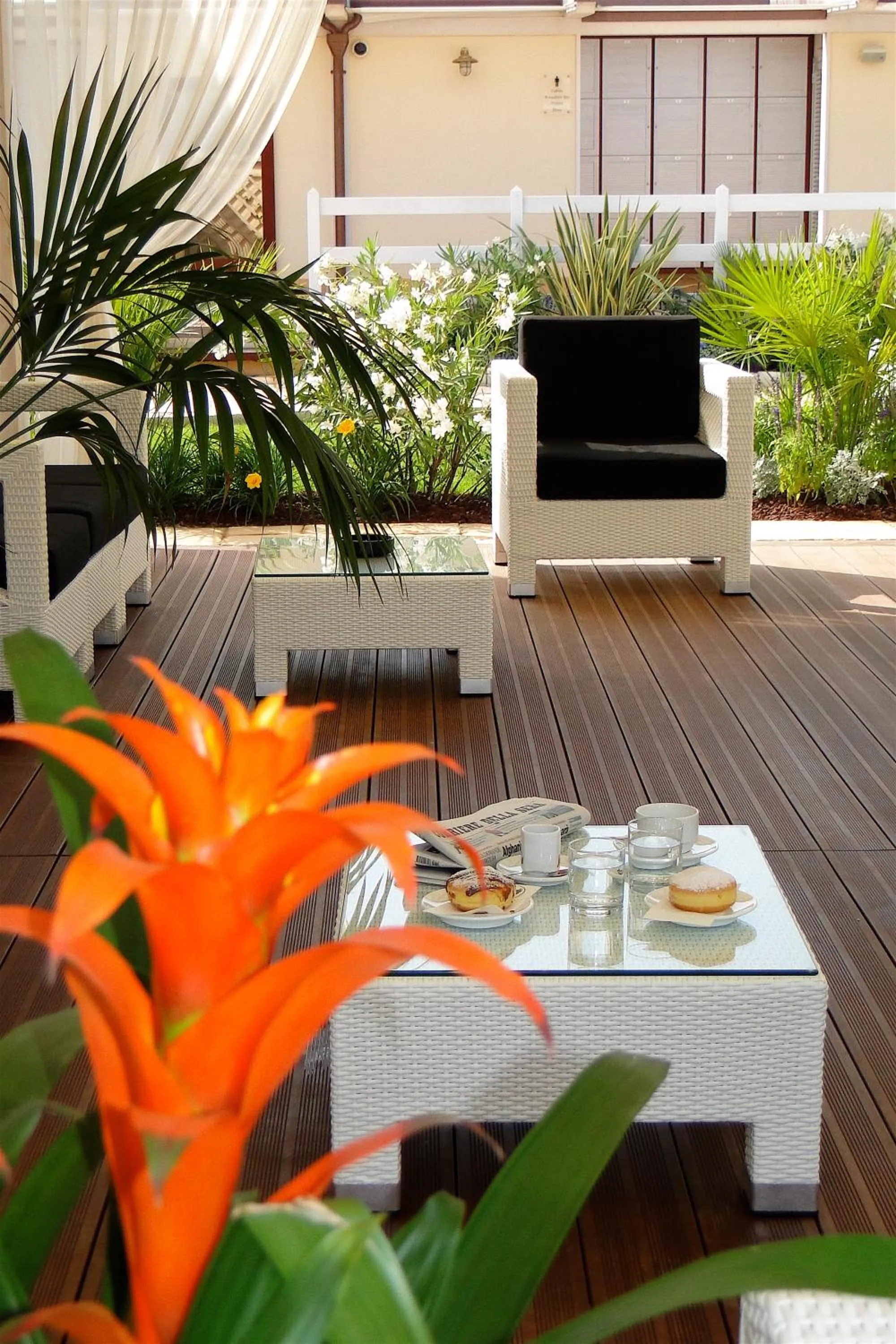 Garden in Hotel Bamby